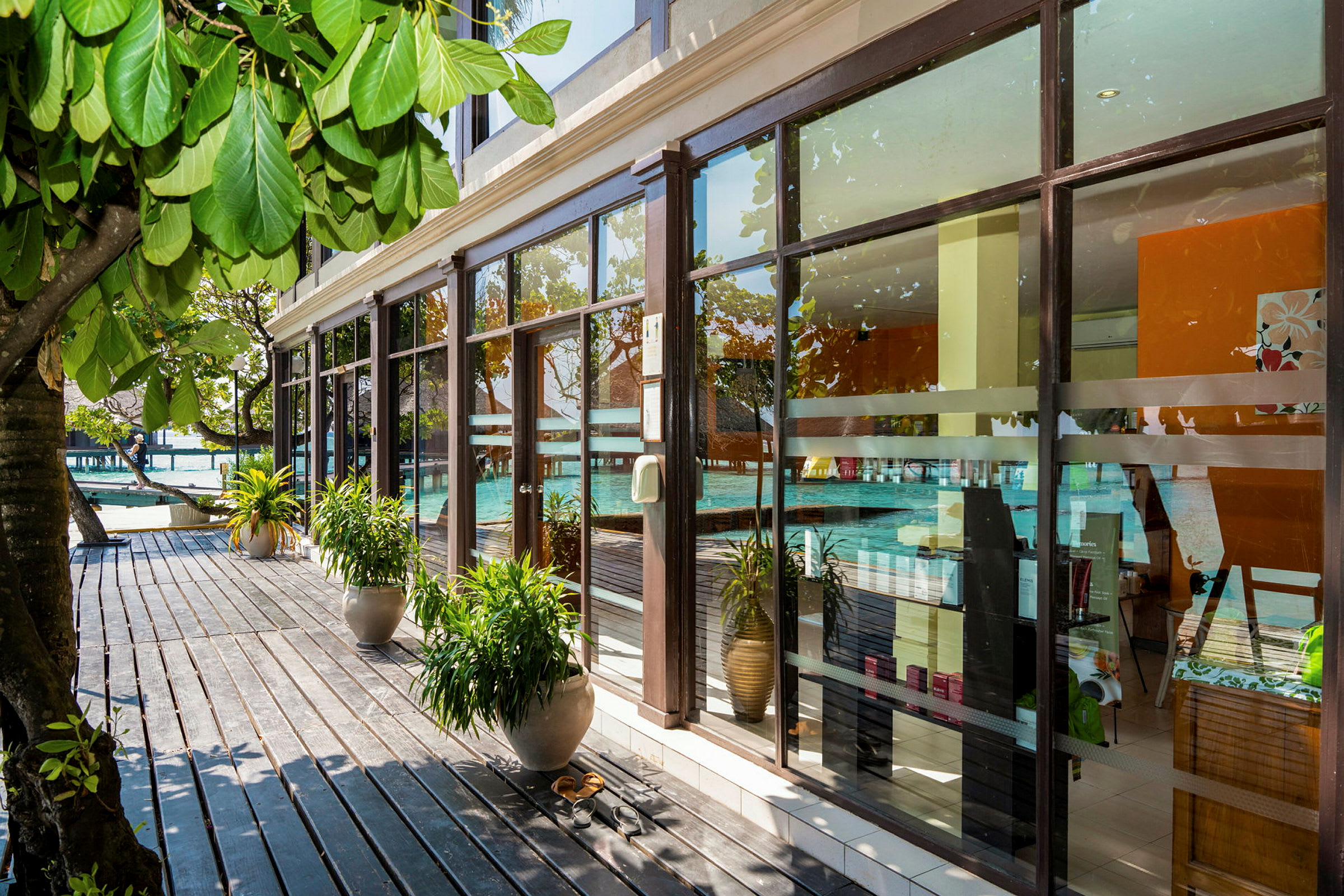 Bilde av et spa med store glassvinduer og frodige planter rundt. (AI-generert tekst)