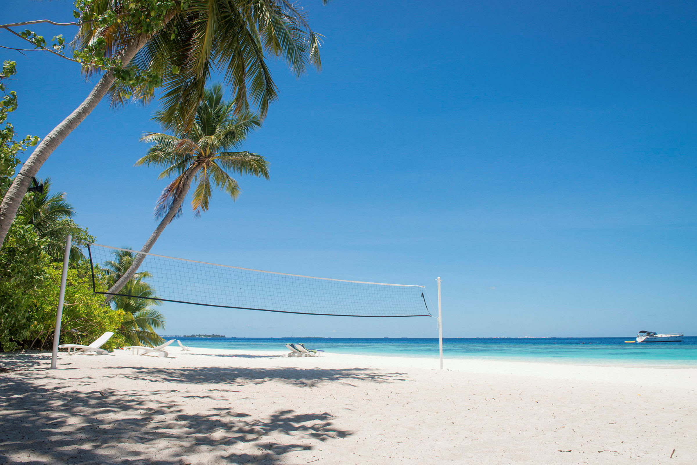 Strand med volleyballnett, palmer i bakgrunnen og utsikt over havet. (AI-generert tekst)