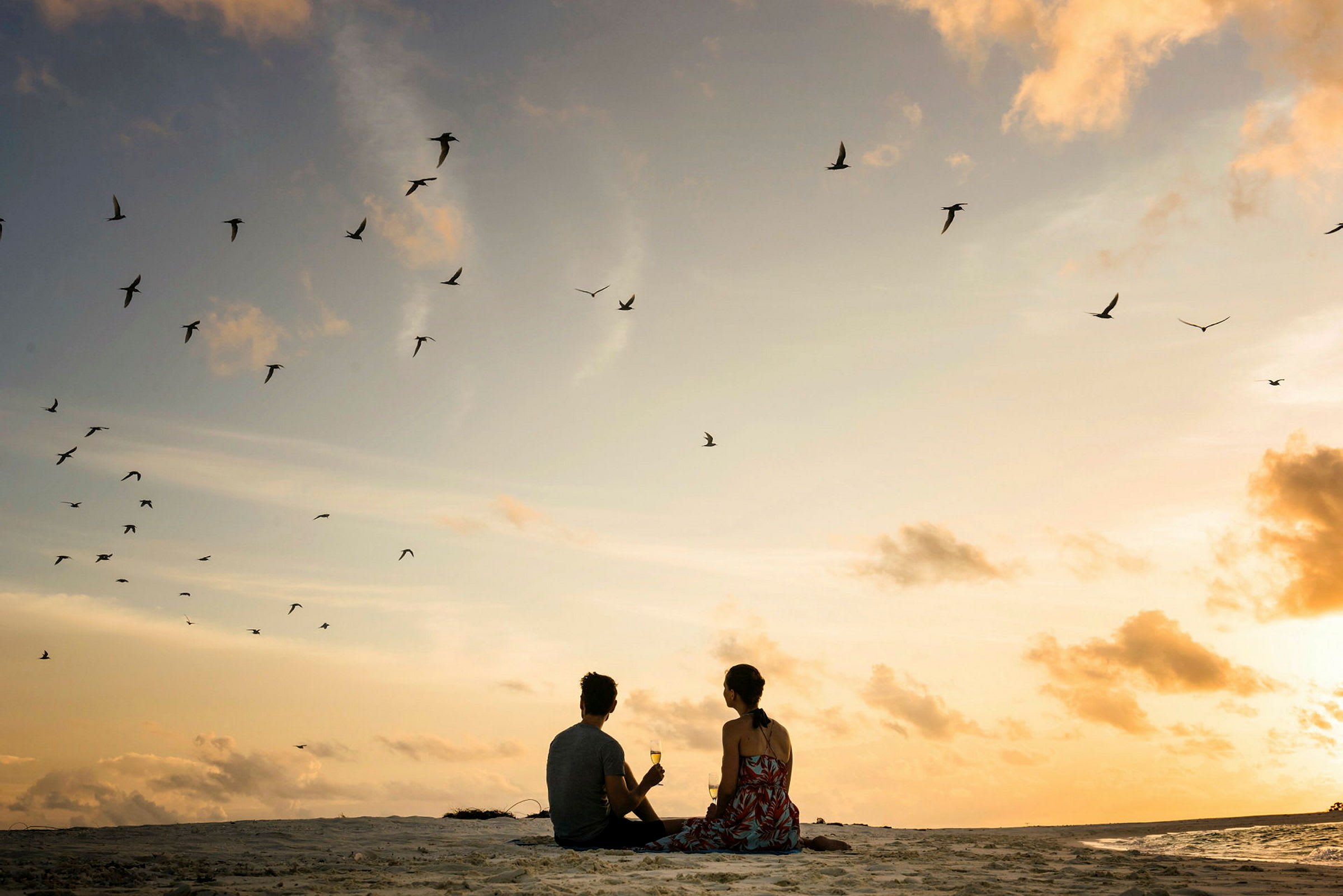 To personer sitter på en strand ved solnedgang og ser på fugler som flyr på himmelen. (AI-generert tekst)