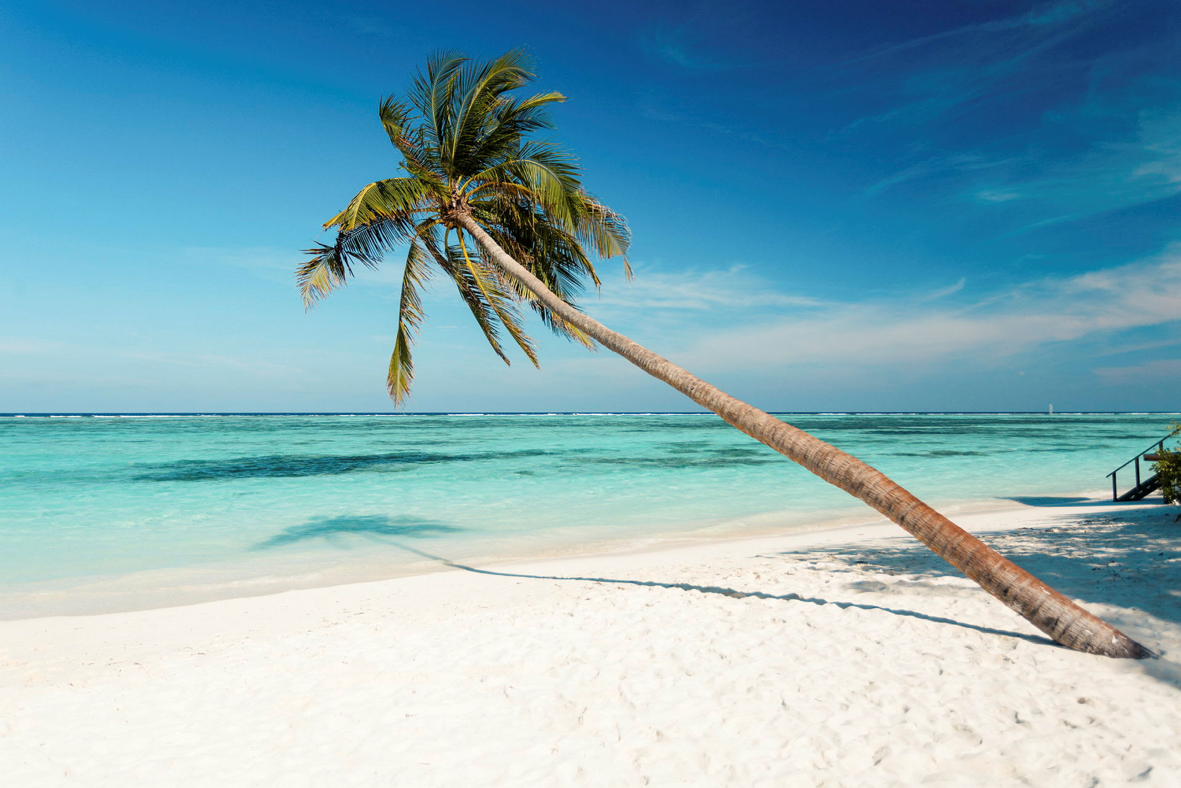 En skrånende palme på en tropisk strand med hvit sand og turkis vann. (AI-generert tekst)