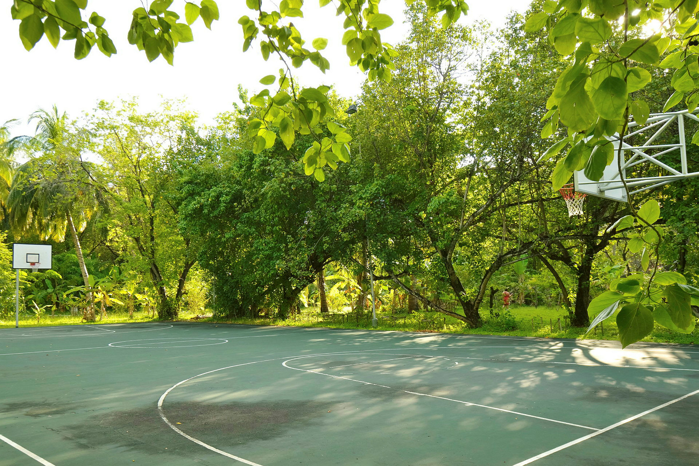 Basketballbane i en frodig hage. (AI-generert tekst)
