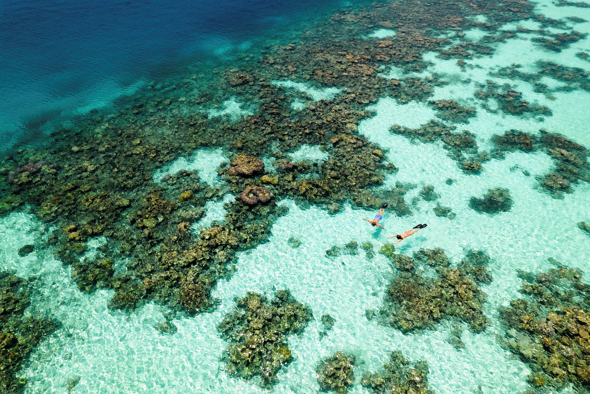 To personer snorkler over et korallrev i klart turkist vann. (AI-generert tekst)