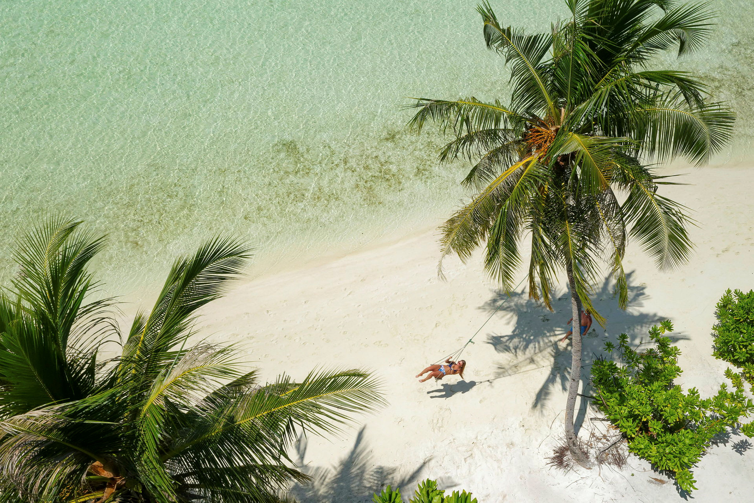 En kvinne husker på en taususke som henger fra en palme på en strand med klart vann. (AI-generert tekst)