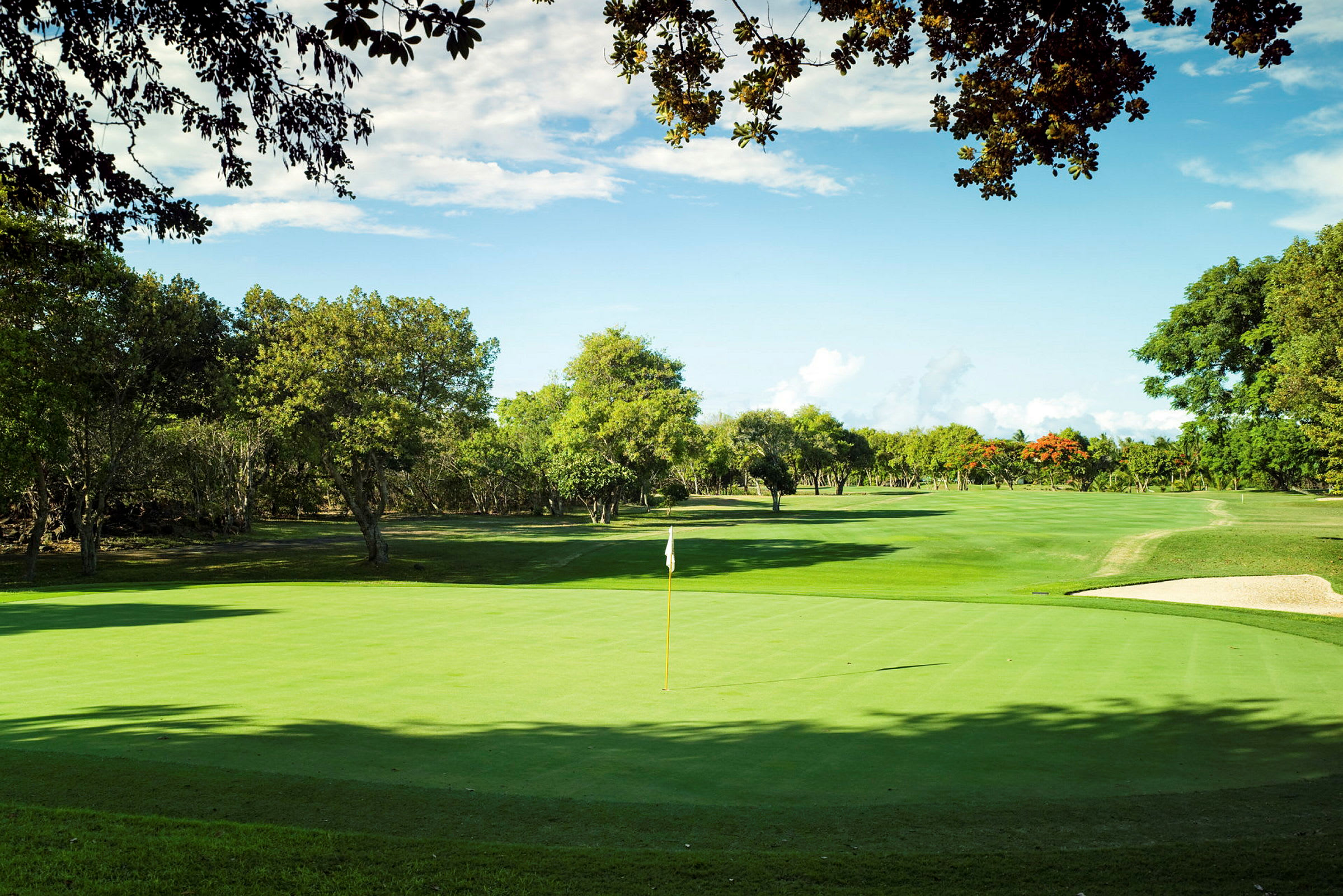 En golfbane med grønne fairways og omkringliggende trær. (AI-generert tekst)