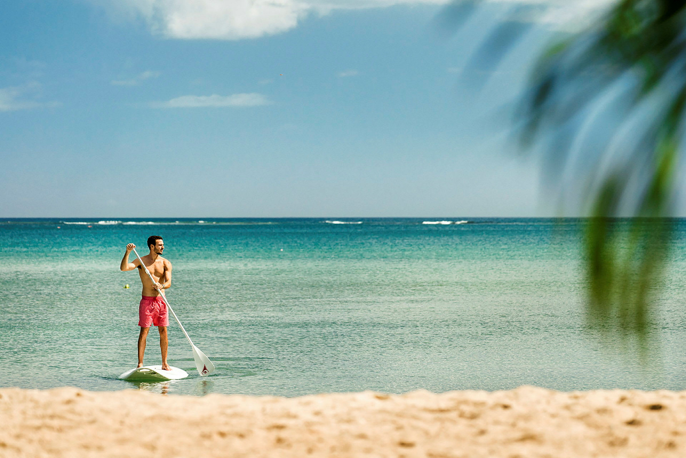 Person som padler på et stand up paddleboard i havet. (AI-generert tekst)