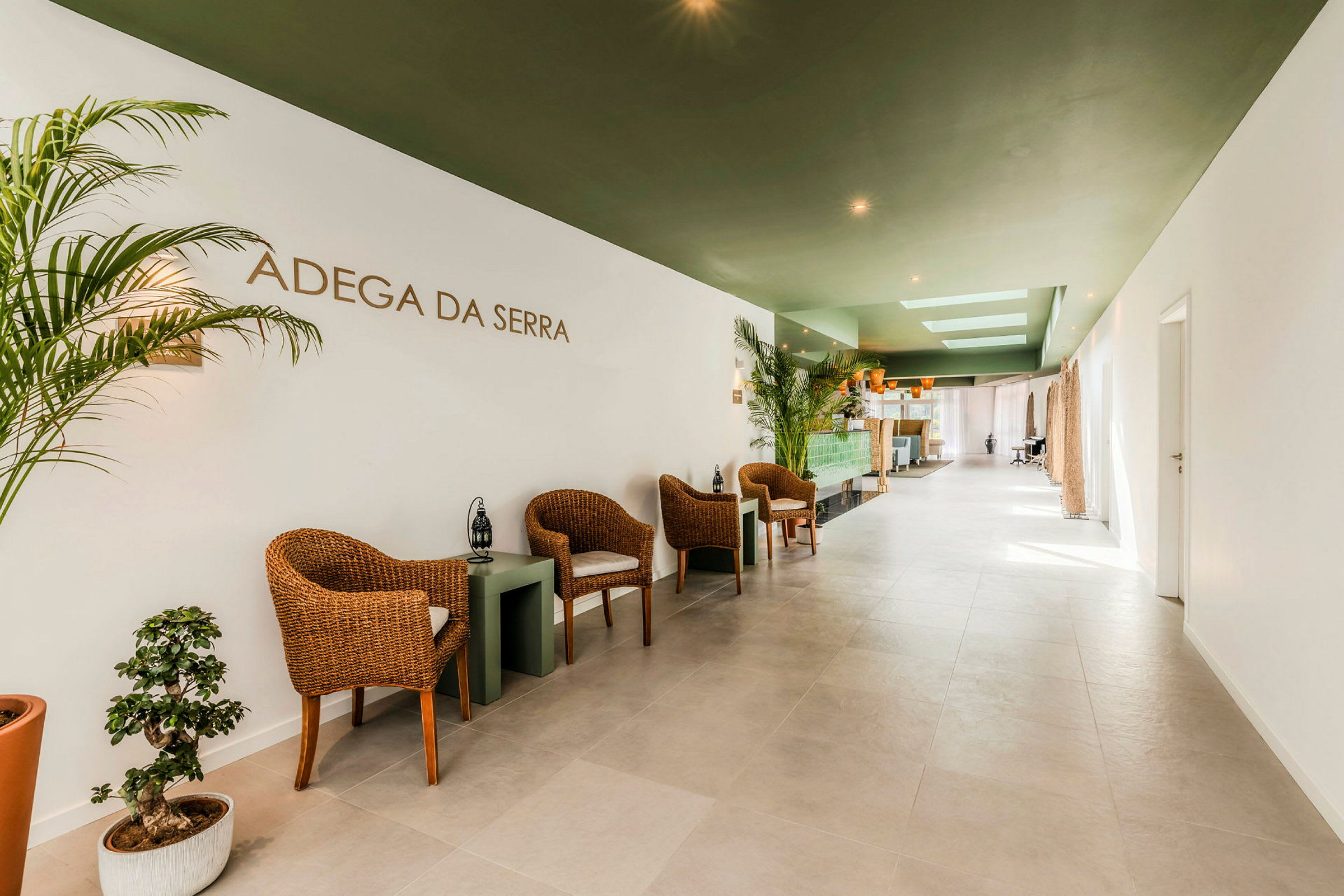 En moderne innredet lounge med stoler i rotting og planter langs veggene. (AI-generert tekst)