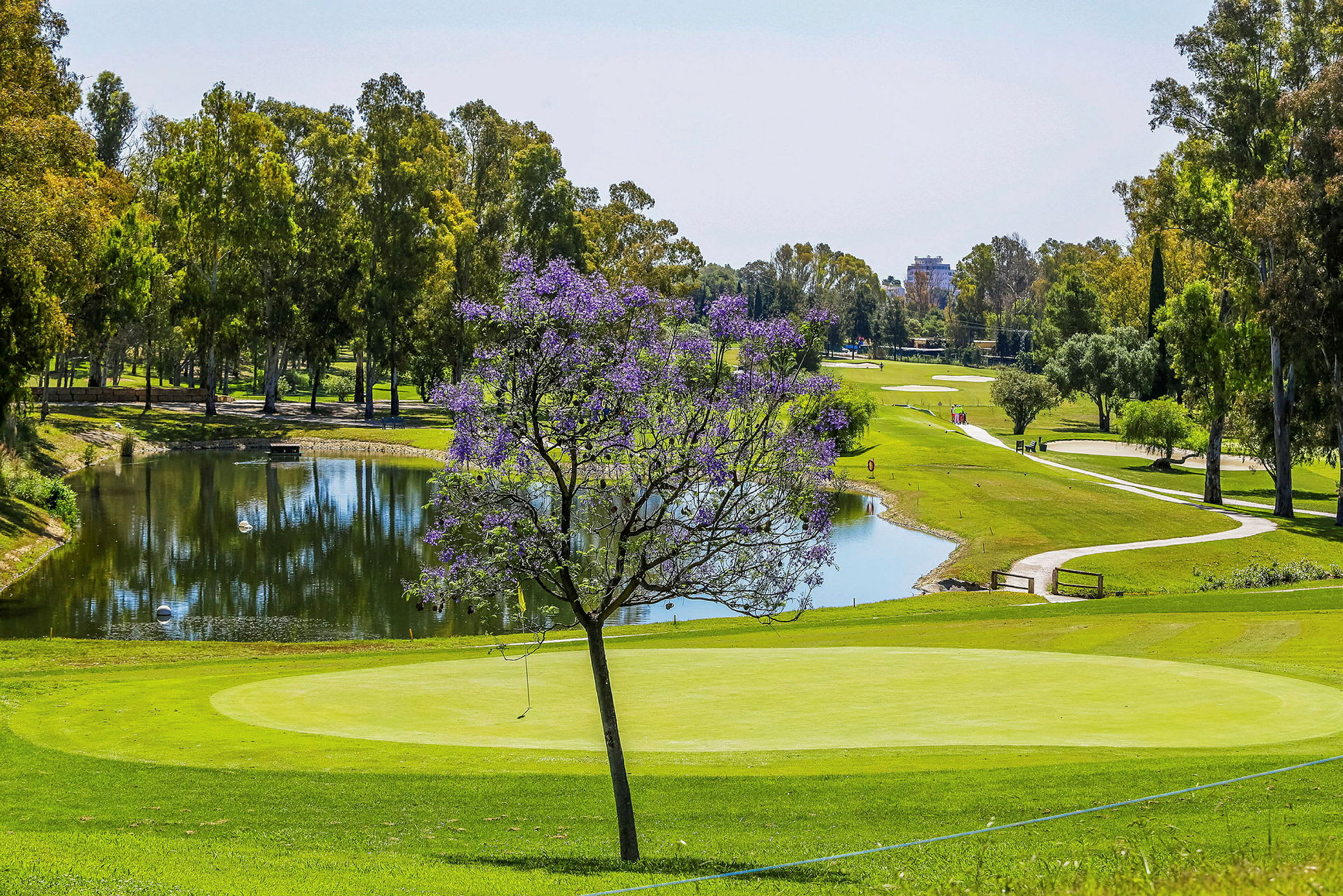 Ca. 3 km fra hotellet ligger det to 18-hulls golfbaner