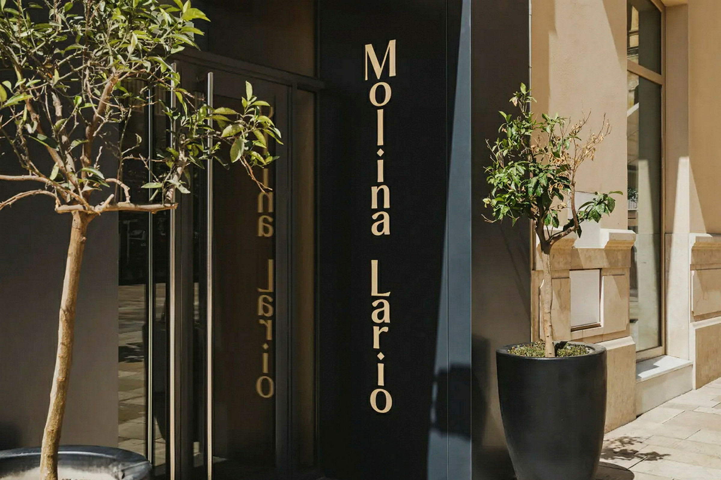 Inngang med glassdører, planter i store potter og et skilt med teksten "Molina Lario". (AI-generert tekst)
