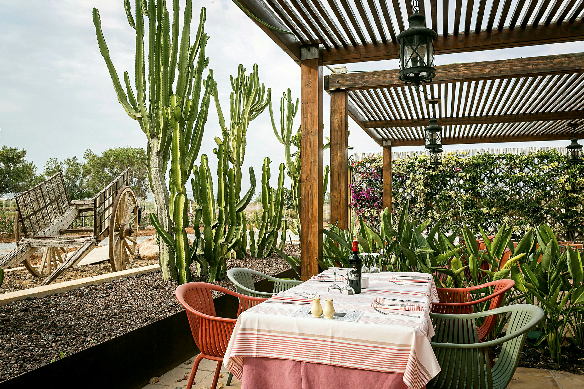En terrasse med et spisebord dekket med duk, omgitt av frodig vegetasjon og kaktuser. En gammel trevogn er synlig i bakgrunnen. (AI-generert tekst)