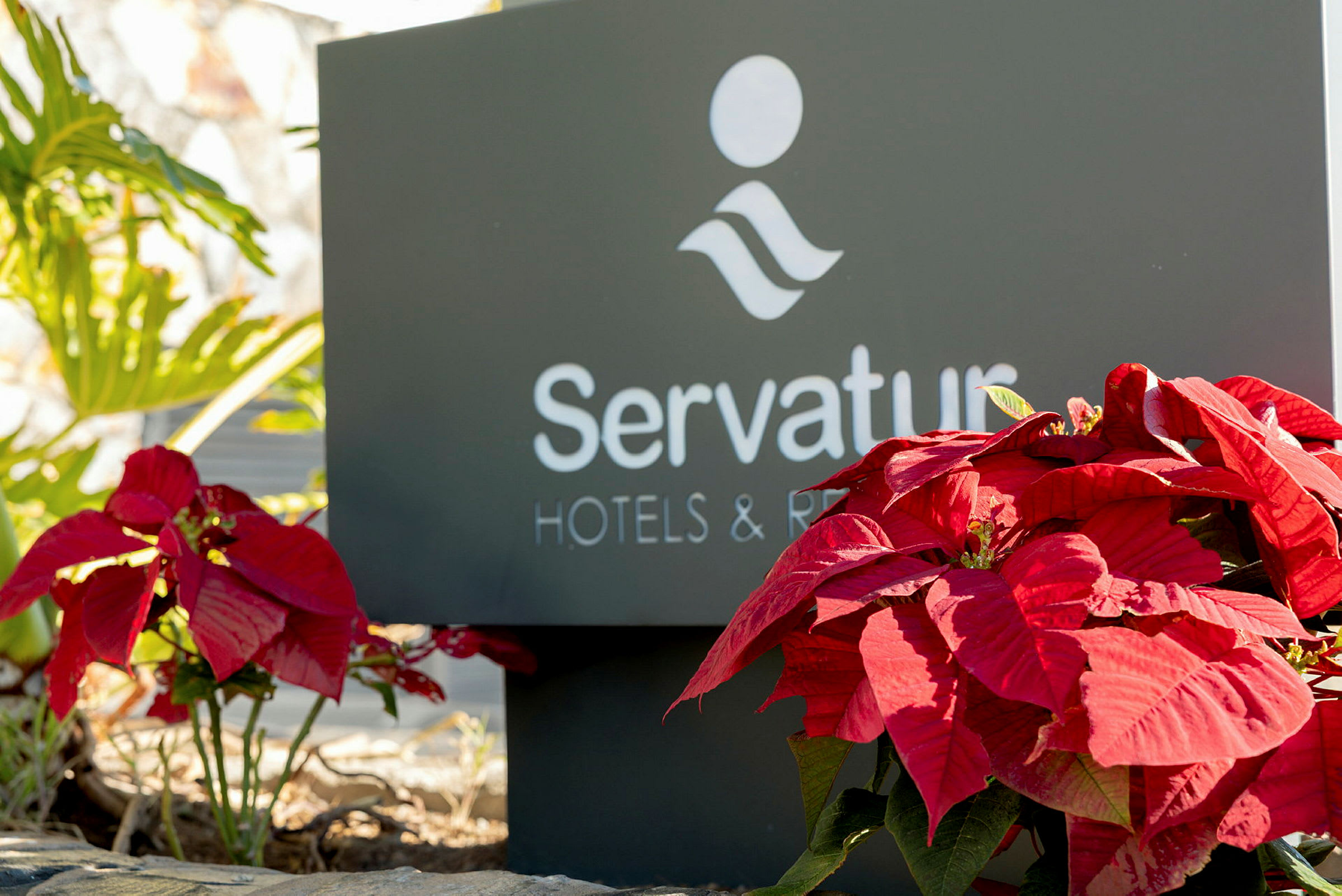 Et skilt som viser teksten 'Servatur Hotels & Resorts' med røde julestjerner foran. (AI-generert tekst)