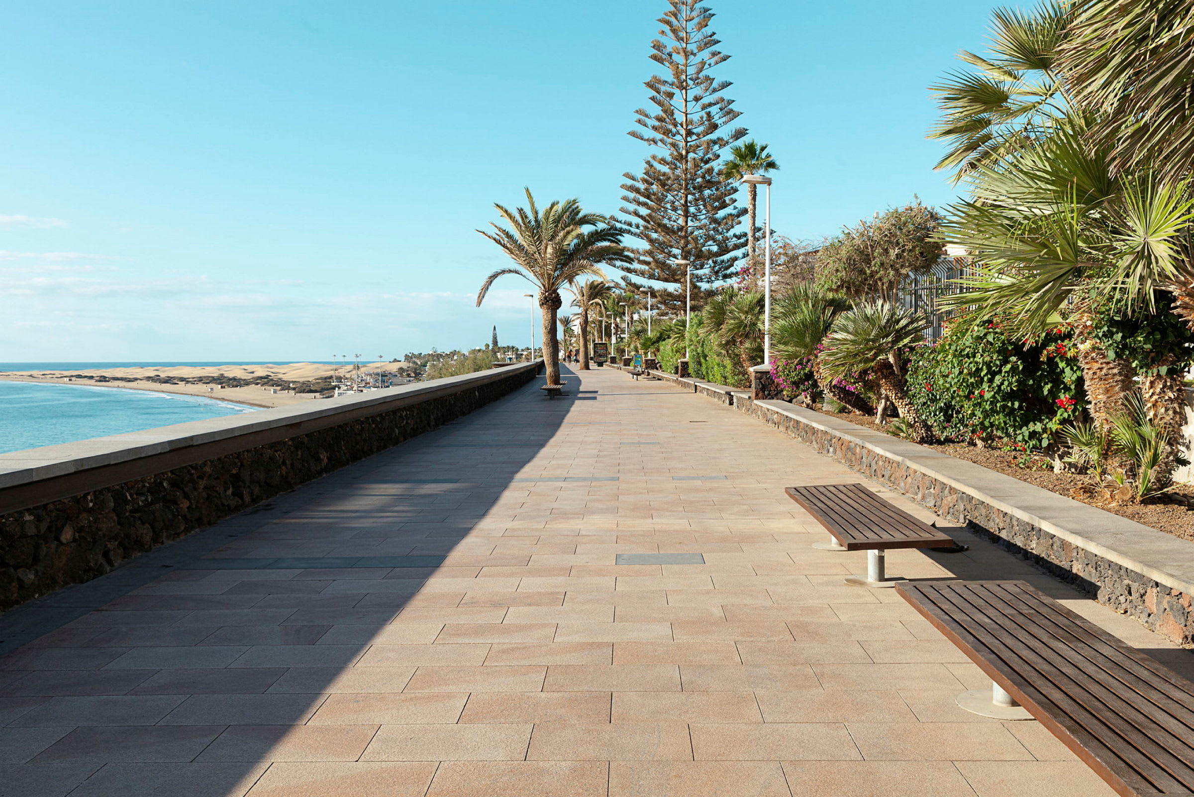 En strandpromenade med palmer, havet til venstre og sanddyner i bakgrunnen. (AI-generert tekst)
