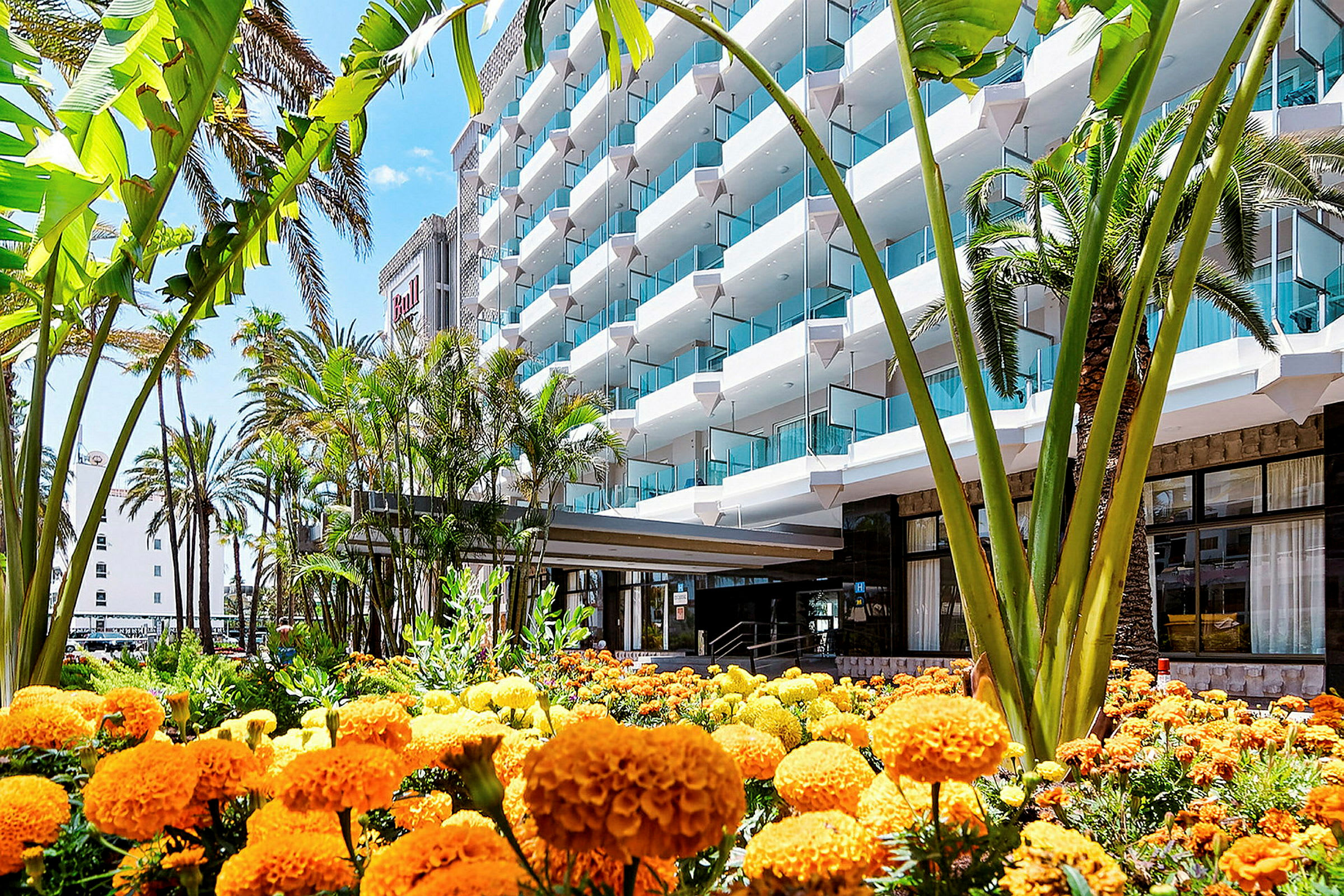 Hotellfasade med oransje-gule blomster i forgrunnen og tropiske palmer. (AI-generert tekst)