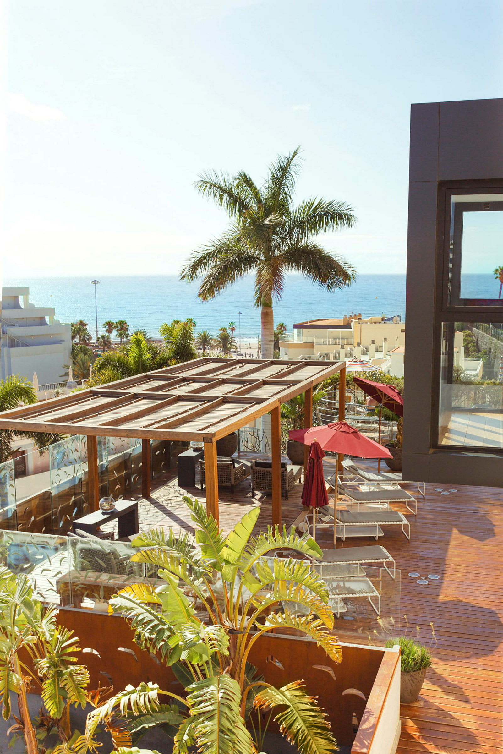 Utsikt over en terrasse med pergola, solsenger, parasoller og en stor palme, med havet i bakgrunnen. (AI-generert tekst)