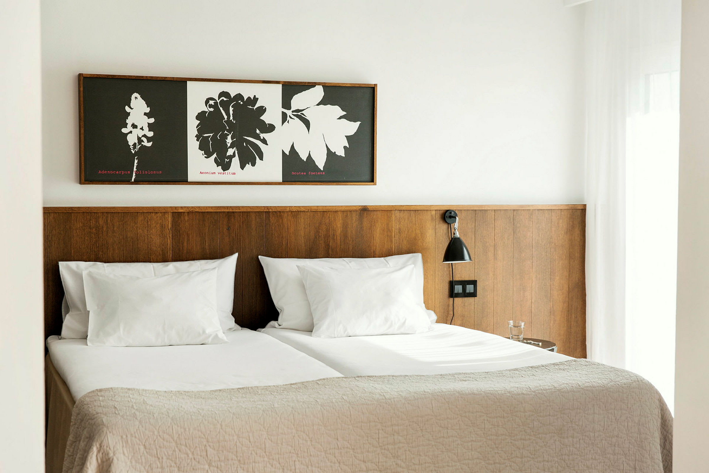 Hotellrom med to enkeltsenger, en trepanel bak sengen, og en vegglampe. (AI-generert tekst)