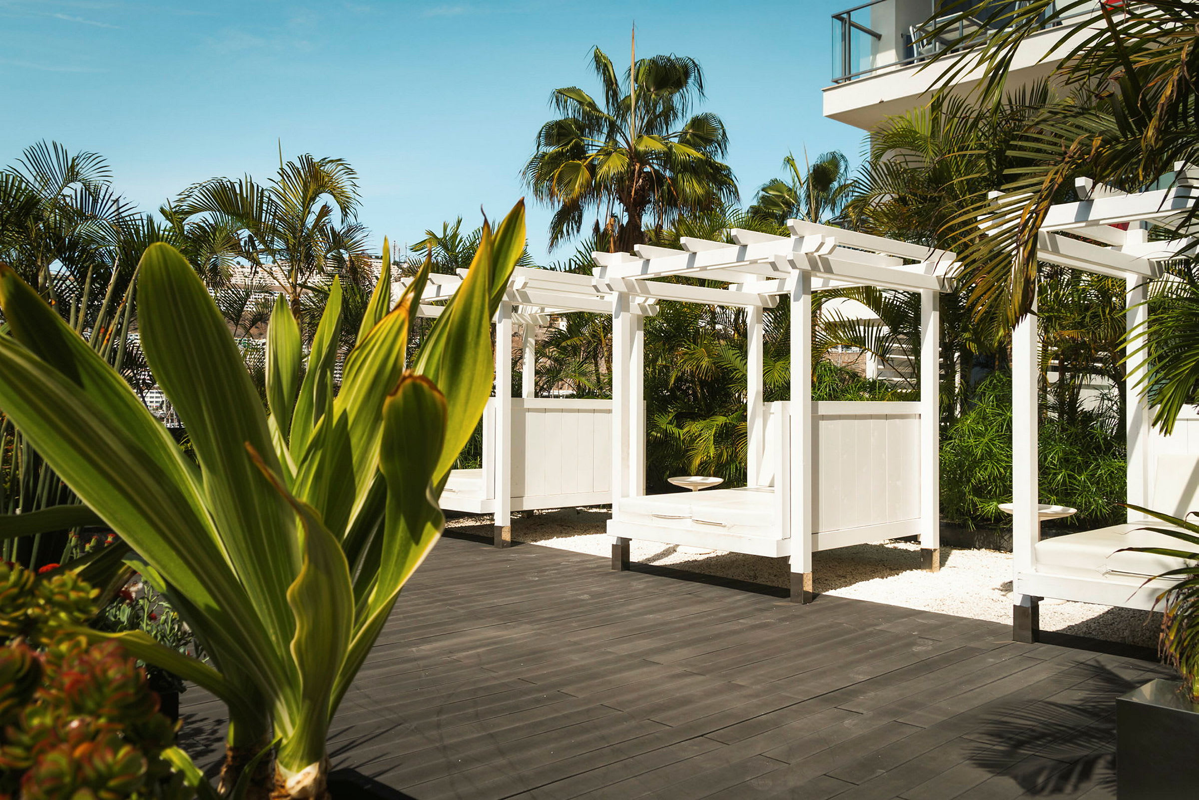 Hvit trepergola på en anlagt terrasse omgitt av palmer. (AI-generert tekst)