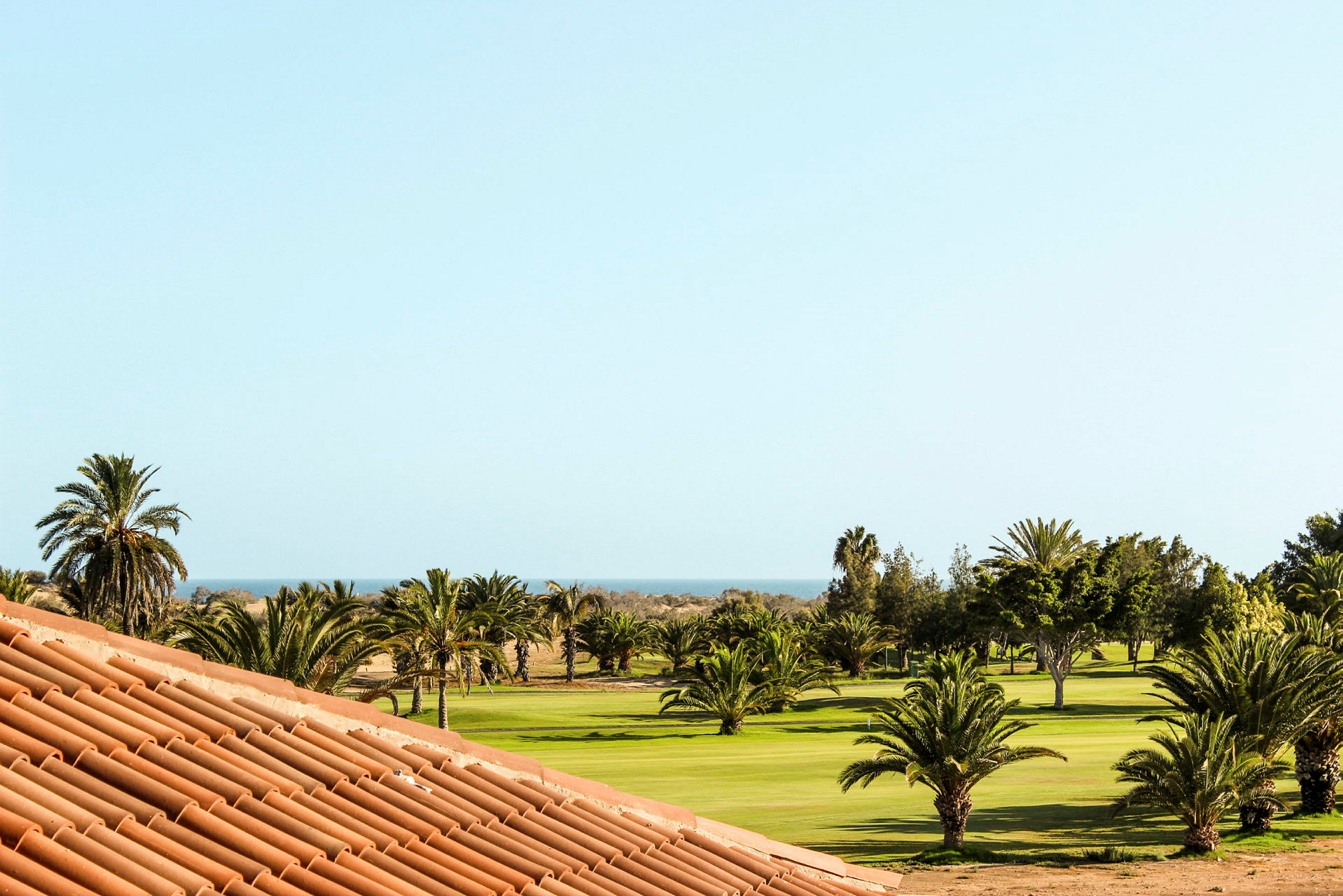 En panoramautsikt over en golfbane med palmer og havet i bakgrunnen. (AI-generert tekst)
