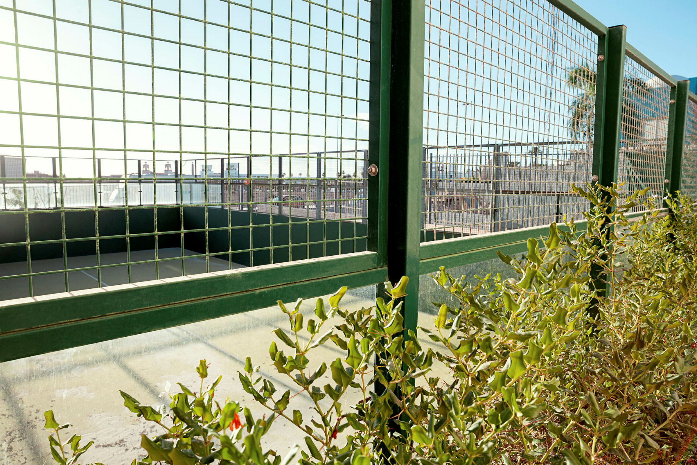 Et bilde av et grønt gittergjerde foran en padelbane med vegetasjon i forgrunnen. (AI-generert tekst)
