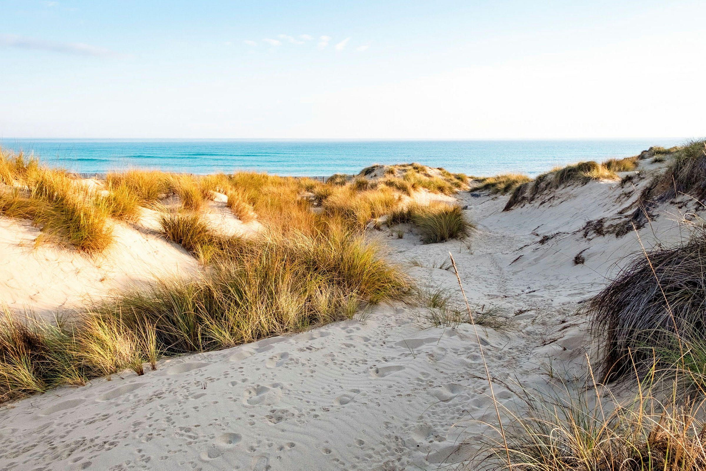 En sandstrand med gresskledde sanddyner og hav i bakgrunnen. (AI-generert tekst)
