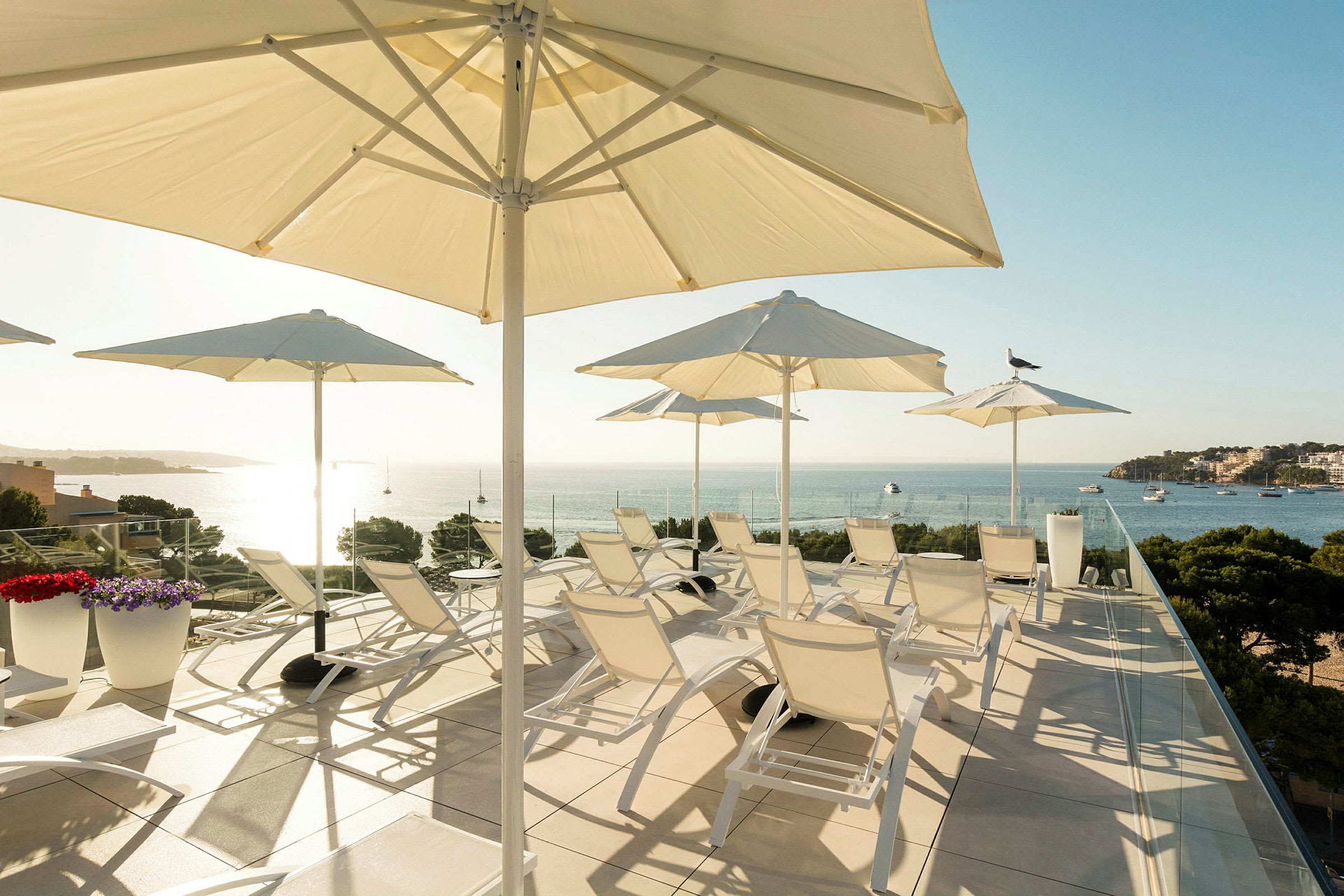 En terrasse med solsenger og hvite parasoller med utsikt over havet. (AI-generert tekst)