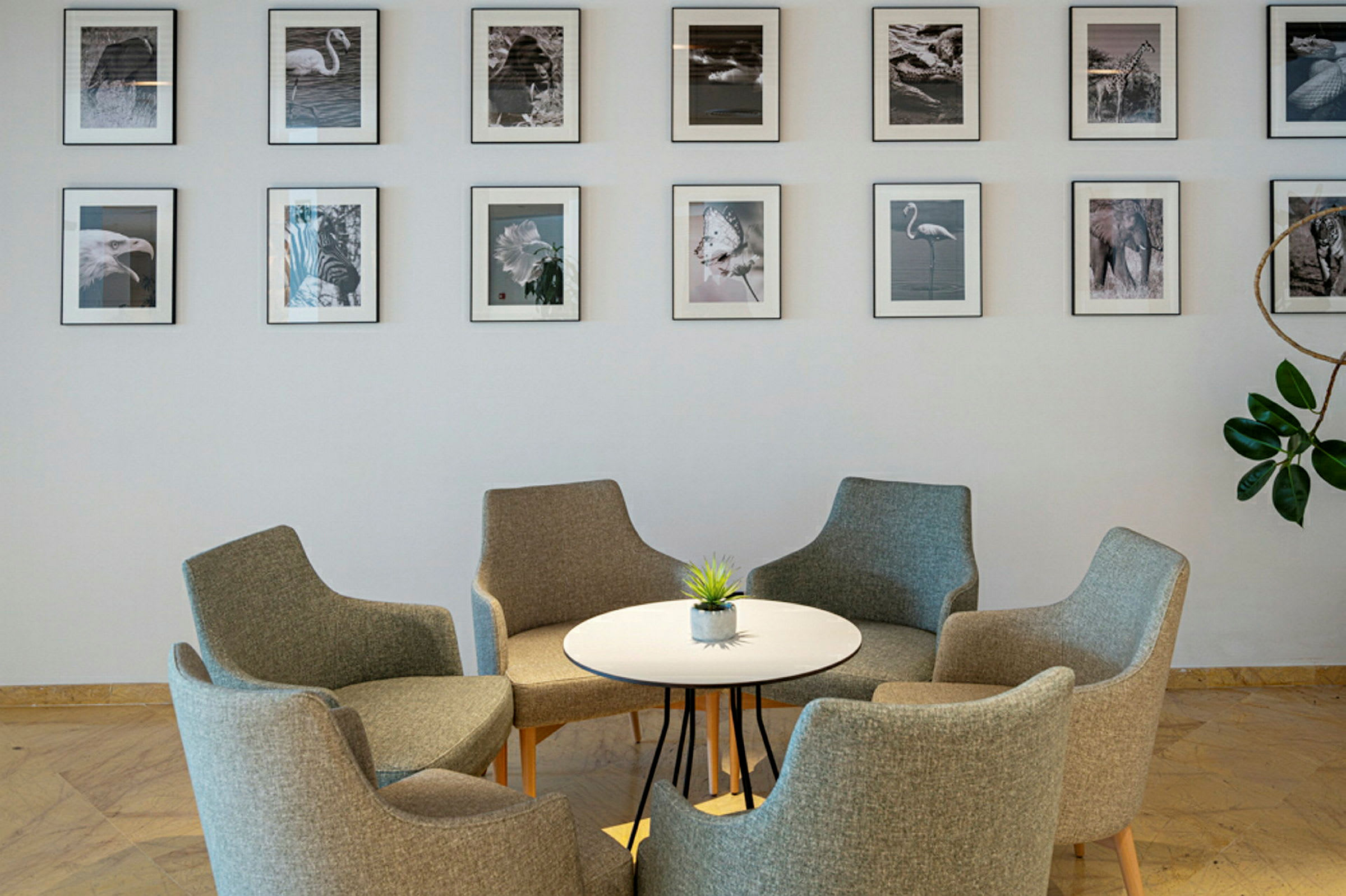 En samling grå stoler rundt et rundt bord med en liten grønn plante på toppen, foran en vegg med dyrekunstverk i rammer. (AI-generert tekst)