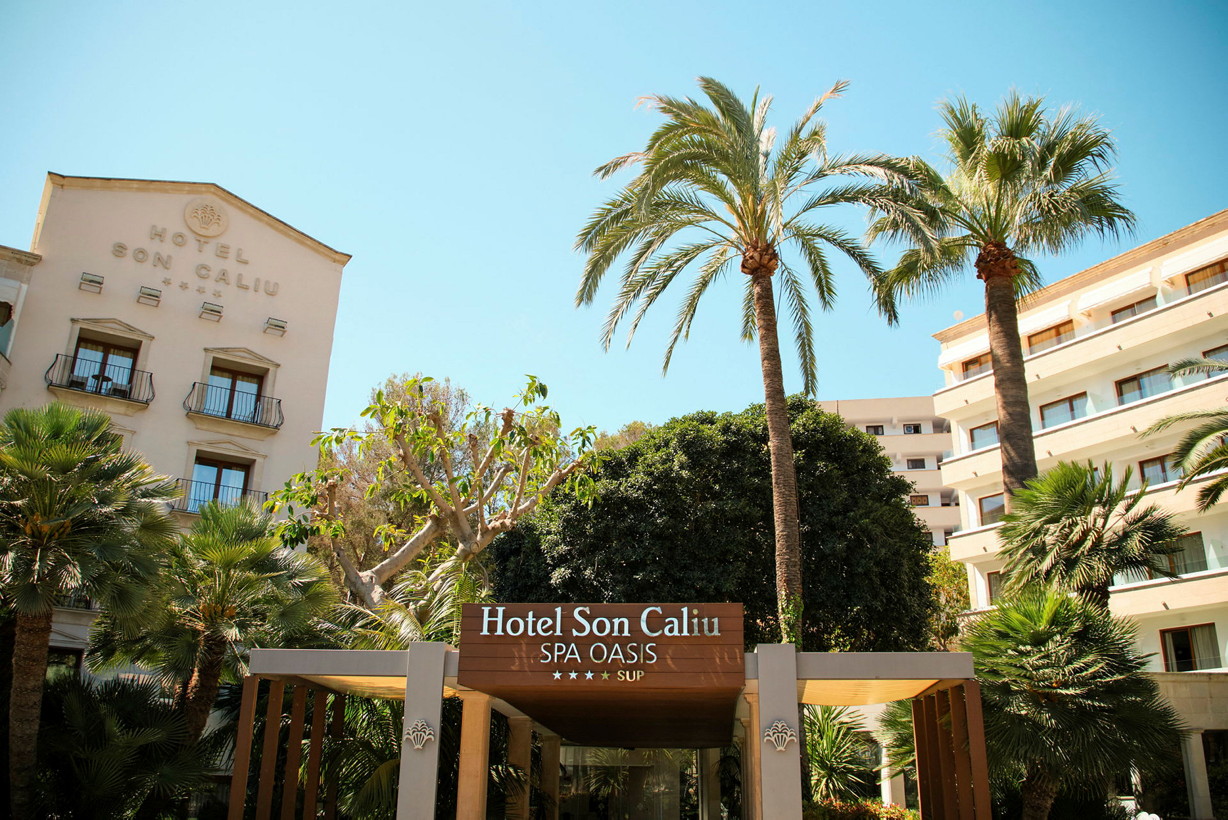 Hotellet Son Caliu Spa Oasis med palmer og bygninger i bakgrunnen. (AI-generert tekst)