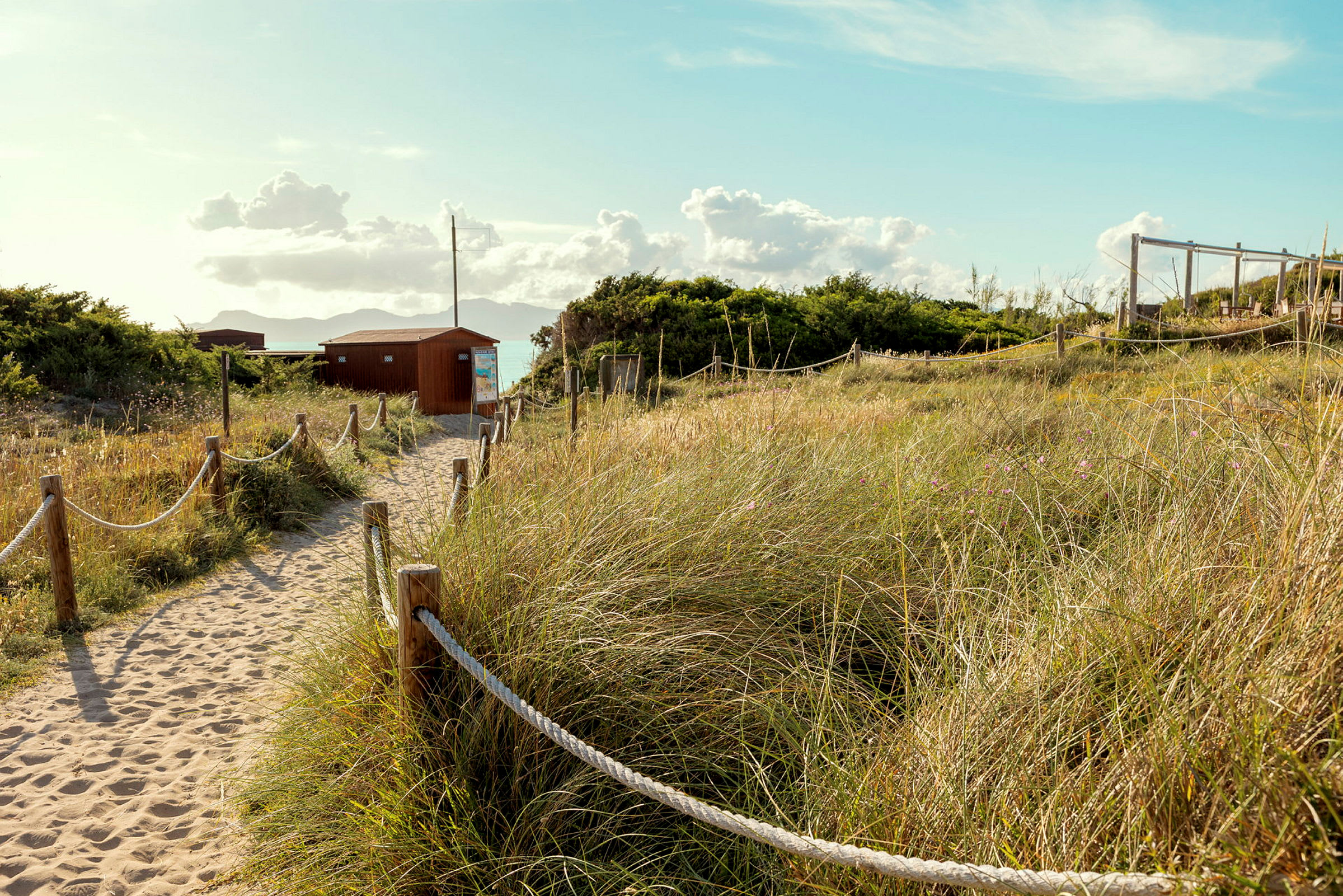 En sandsti omgitt av høyt gress og busker fører mot små trehus med skyer og himmel i bakgrunnen. (AI-generert tekst)