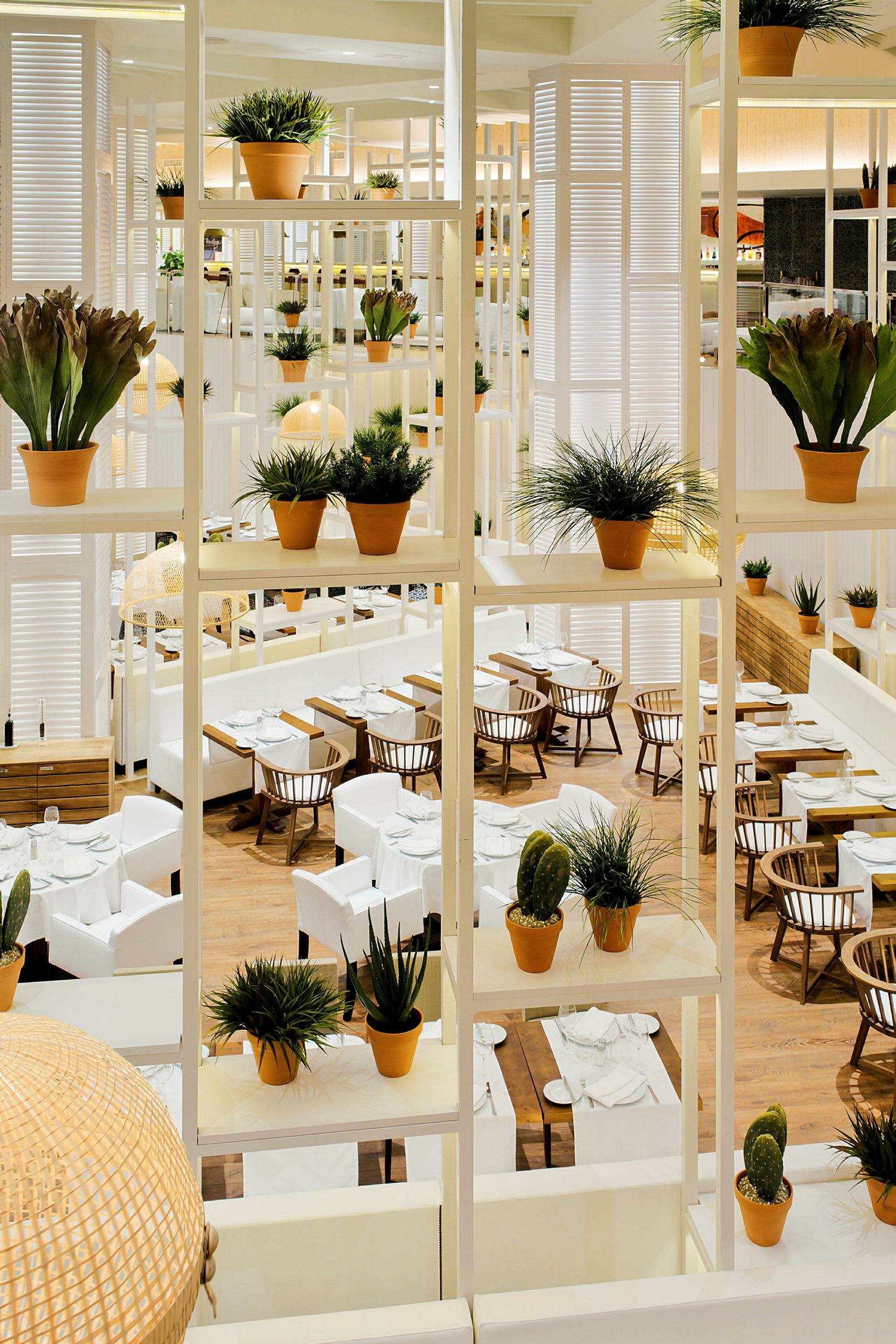 Interiør av en elegant restaurant med hvite møbler og oppstilte bord, innrammet av hyller dekorert med potteplanter. (AI-generert tekst)