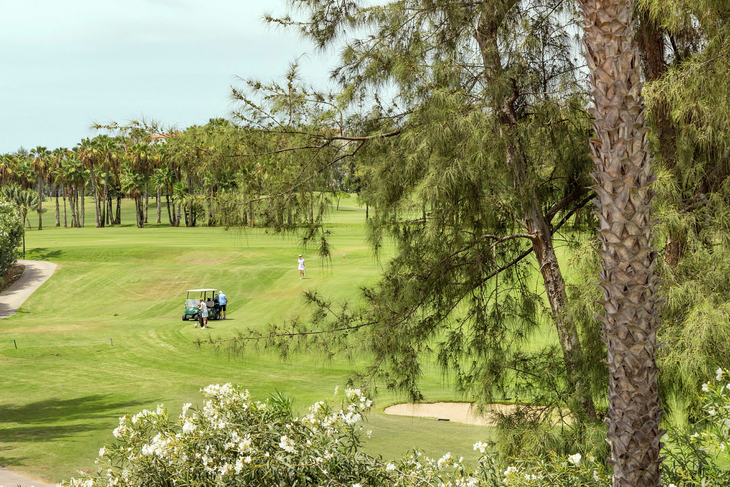 En golfbane med en golfbil og spillere, omgitt av grøntområder og palmer. (AI-generert tekst)