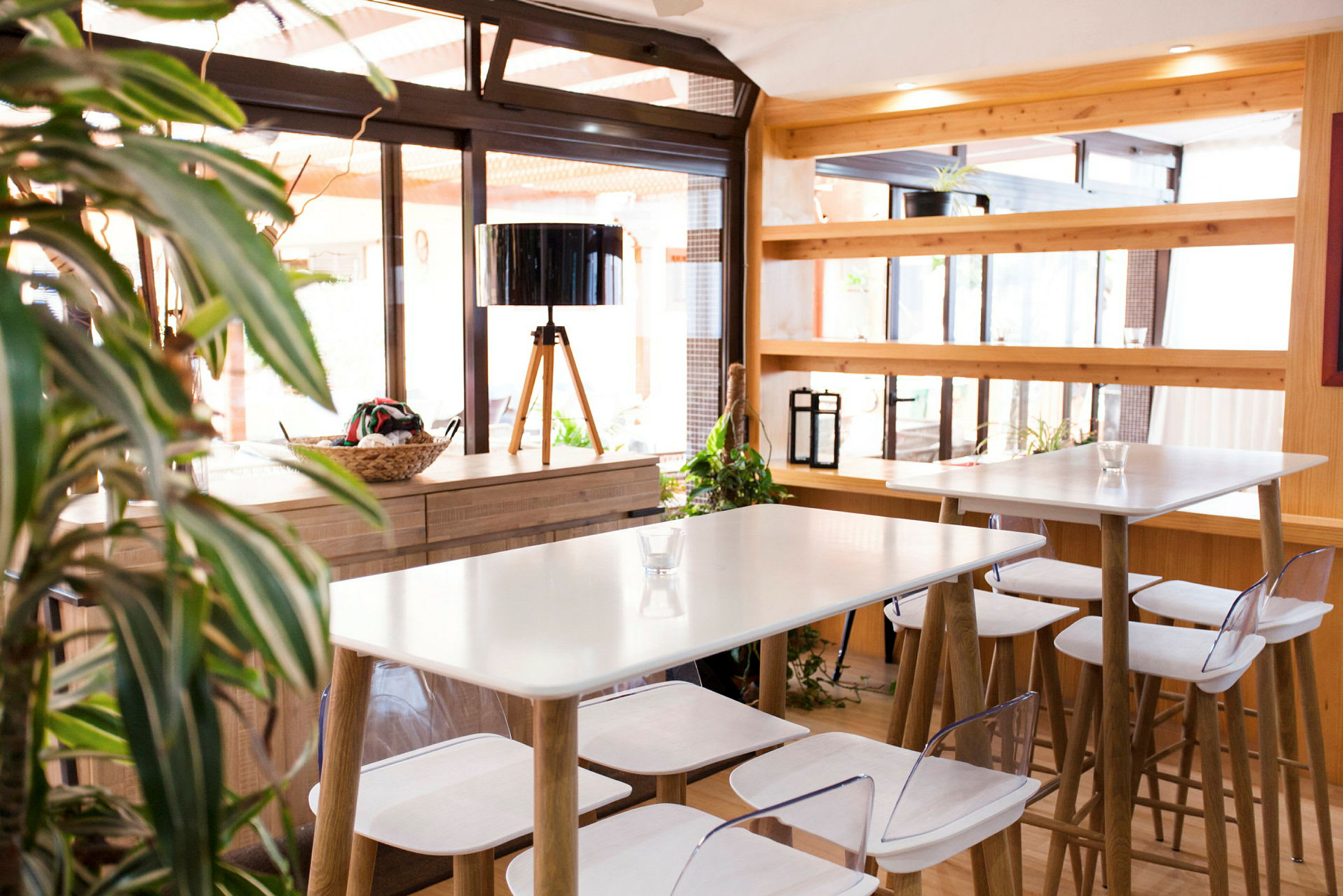 Lyst og moderne kafé med bord og stoler av tre. Plante i forgrunnen. (AI-generert tekst)