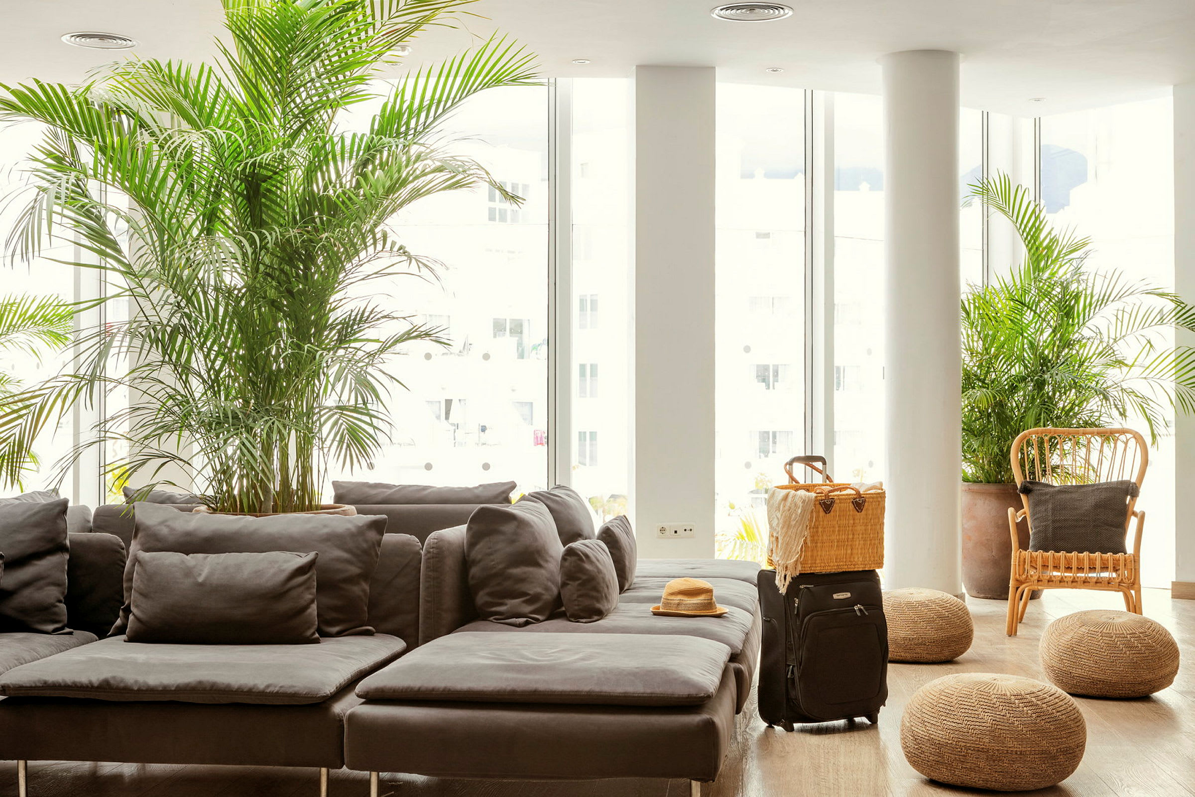 En lounge med grå sofa, planter og koffert. (AI-generert tekst)