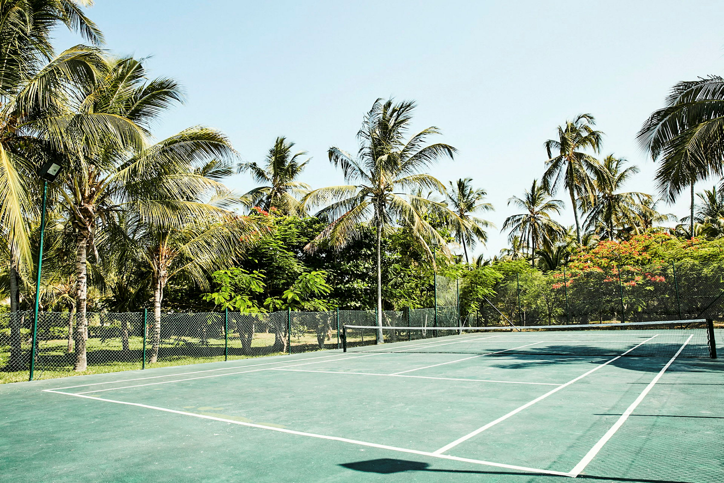 Tennisbane omgitt av palmer og trær i et tropisk miljø. (AI-generert tekst)