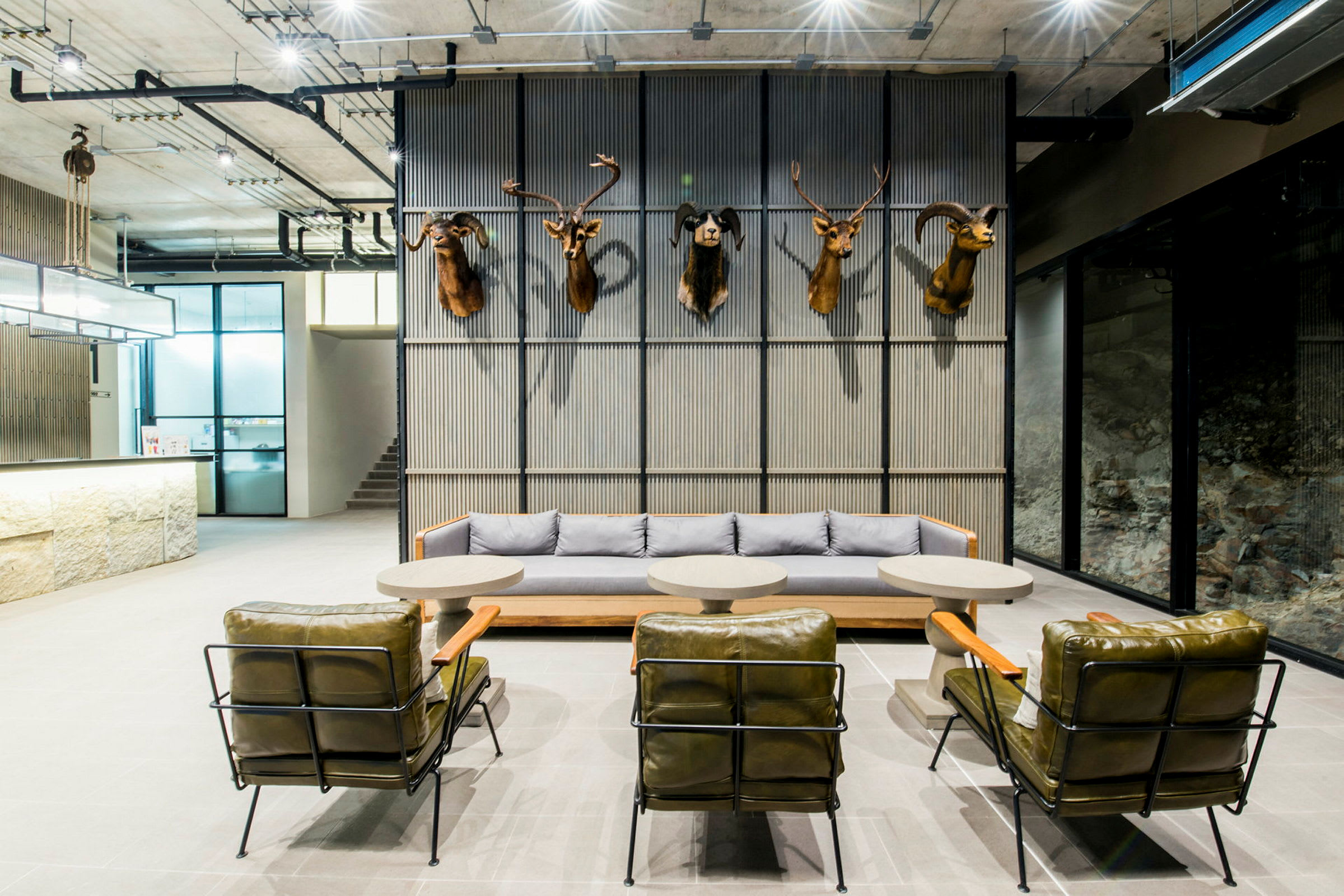 Innendørsmiljø med en moderne lounge, dekorert med lenestoler og en sofa foran en vegg med monterte dyrehoder. (AI-generert tekst)