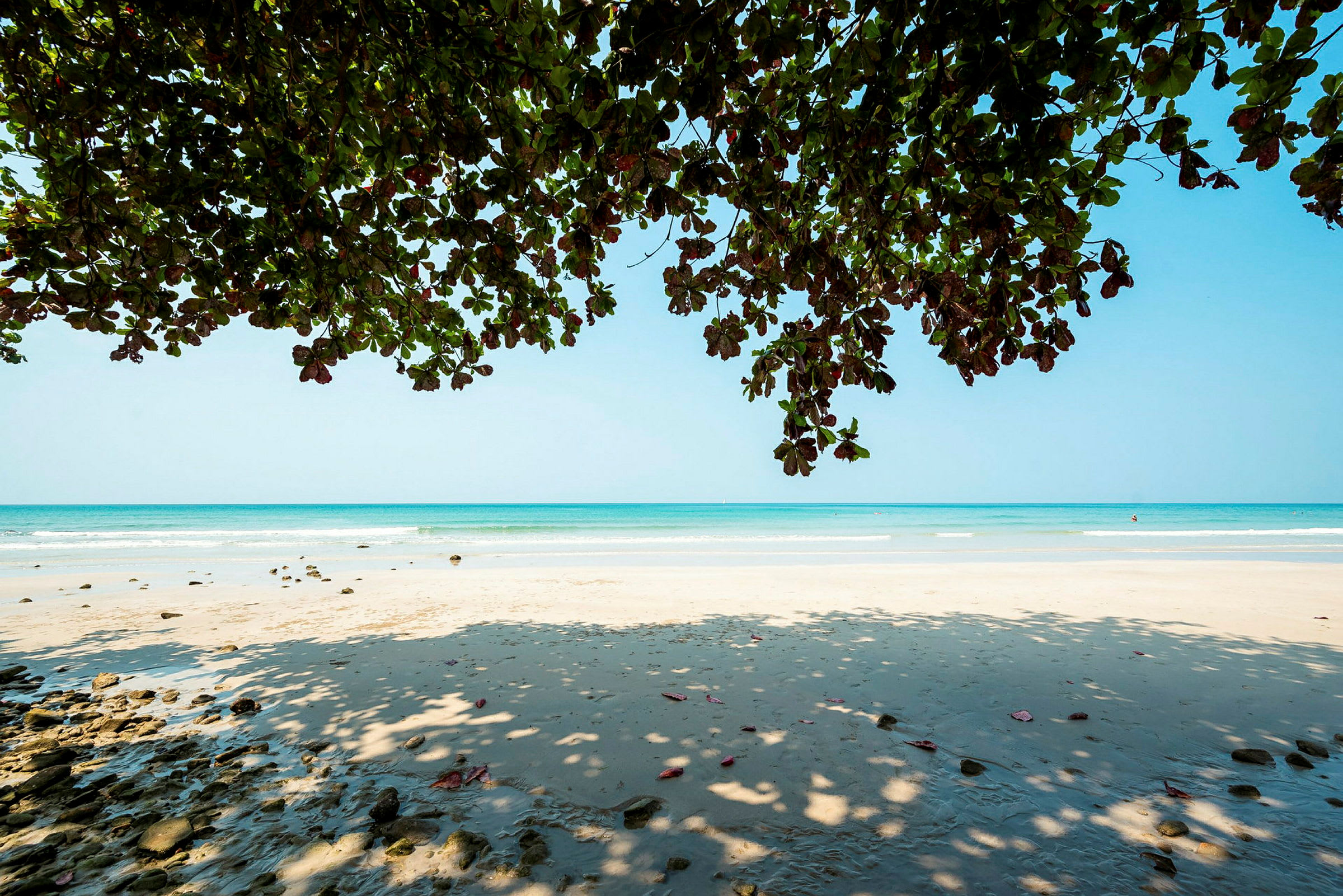 Strand med blått hav i bakgrunnen og grener med grønne blader dekker delvis himmelen. (AI-generert tekst)
