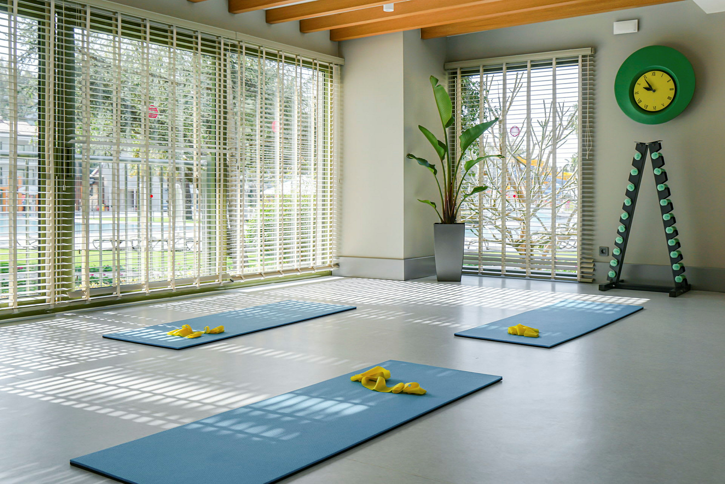 Et rom med yogamatter, vinduer med persienner, en plante og et stativ med vekter. (AI-generert tekst)