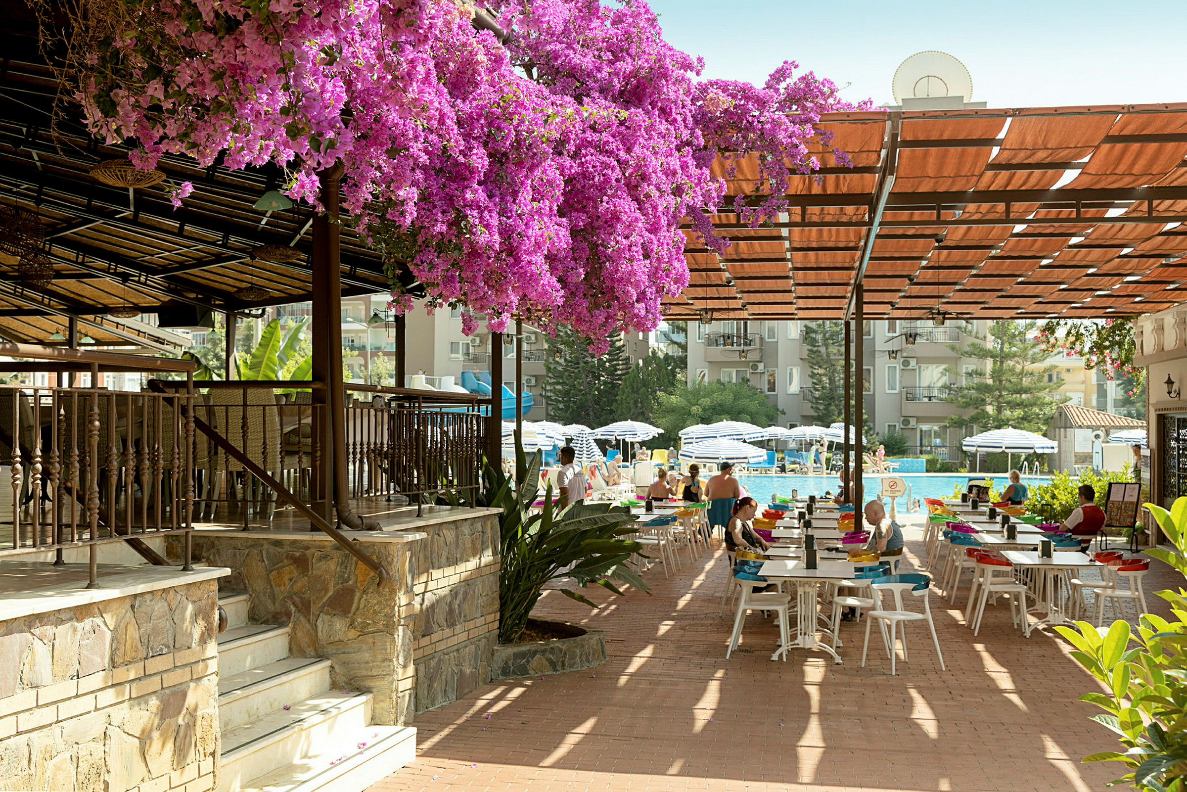 En utendørs serveringsplass under pergola, med blomstrende rosa planter og et basseng i bakgrunnen. (AI-generert tekst)