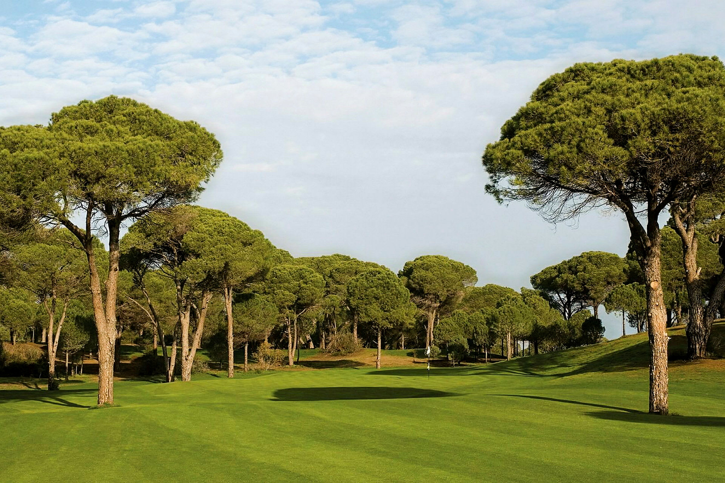 En grønn golfbane omgitt av høye furutrær. (AI-generert tekst)