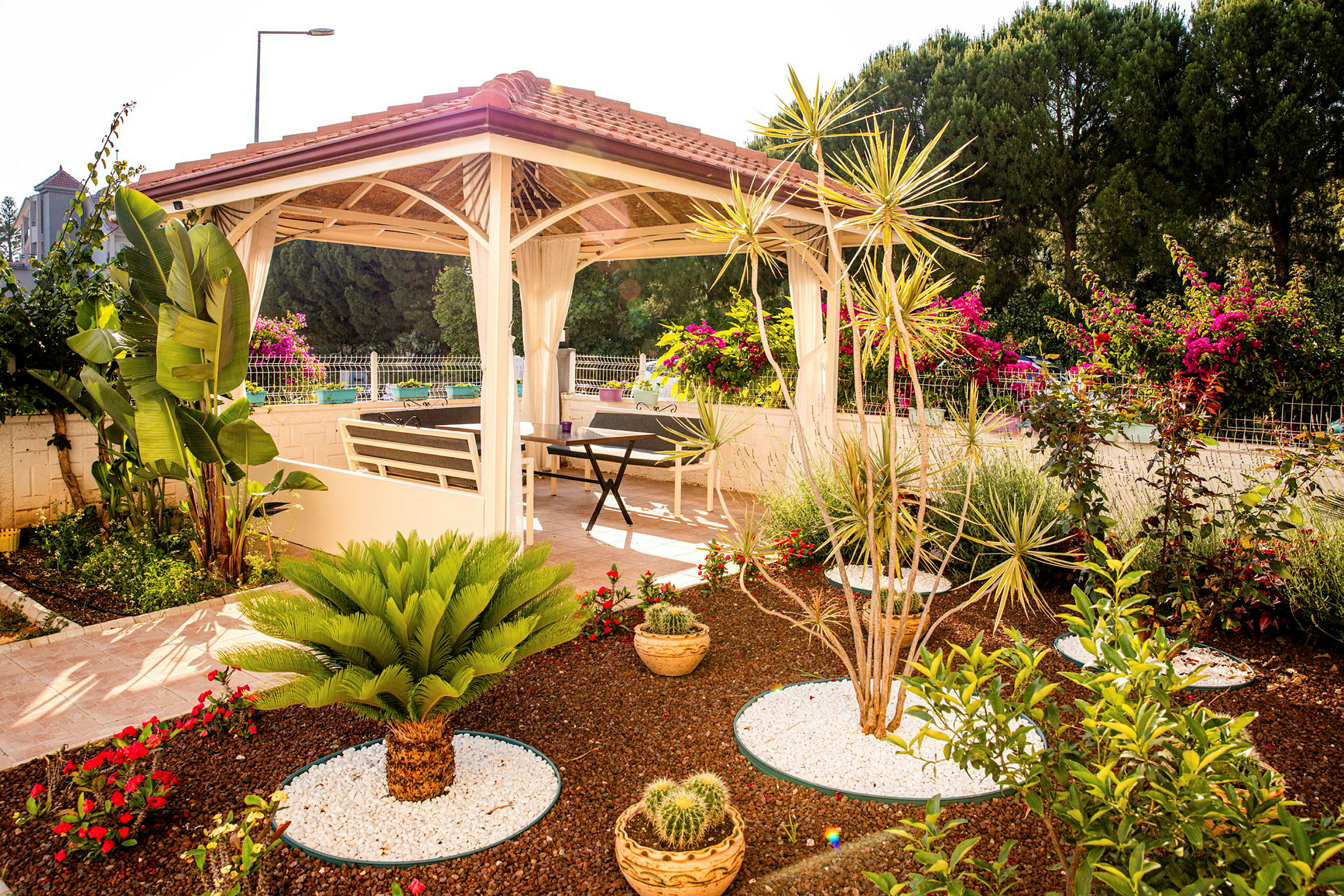 En hage med en pergola omgitt av eksotiske planter og blomster. Under pergolaen er det møbler for avslapping. (AI-generert tekst)
