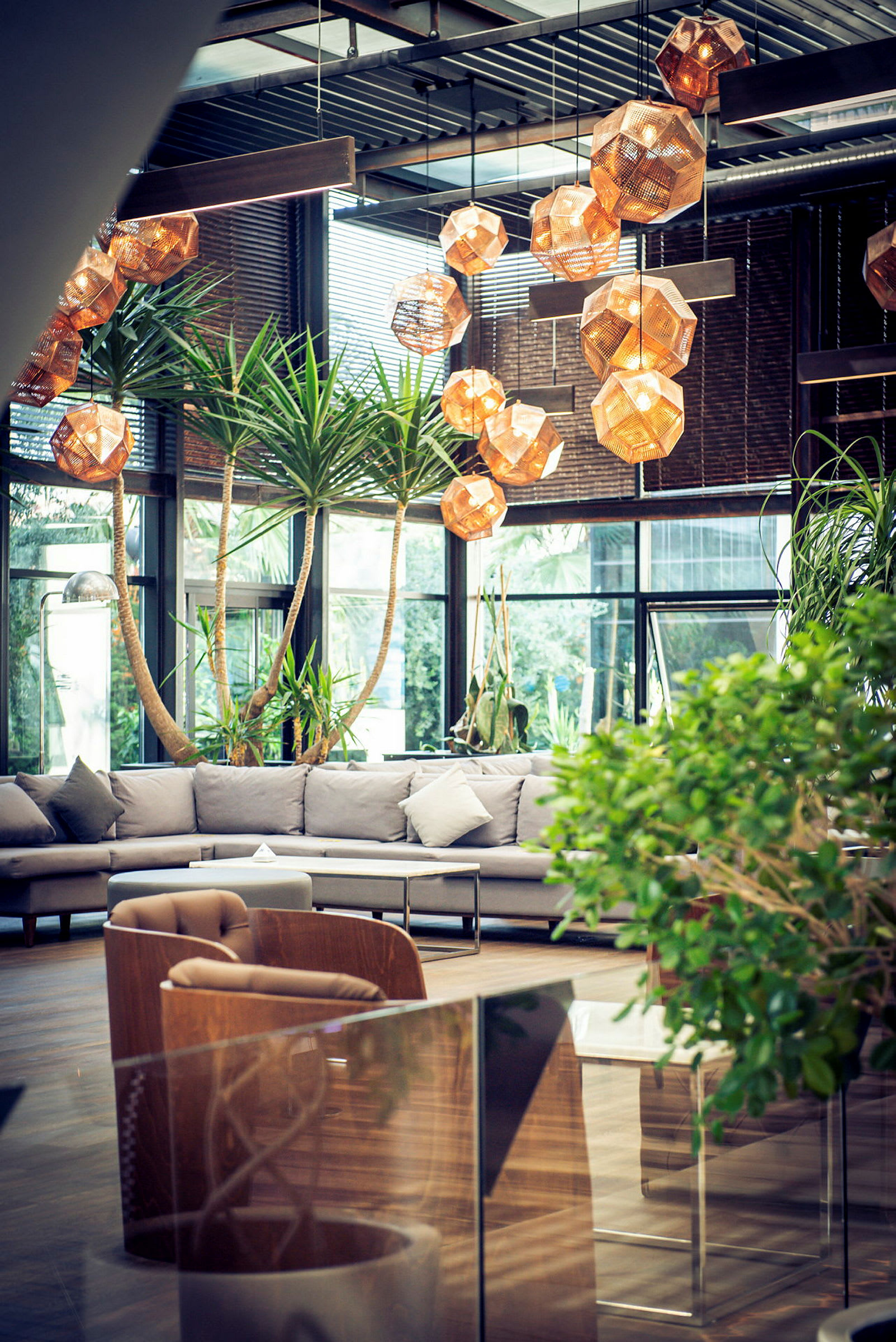 En moderne, luftig lounge med grønne planter, beige sofaer og dekorative hengende lamper. (AI-generert tekst)