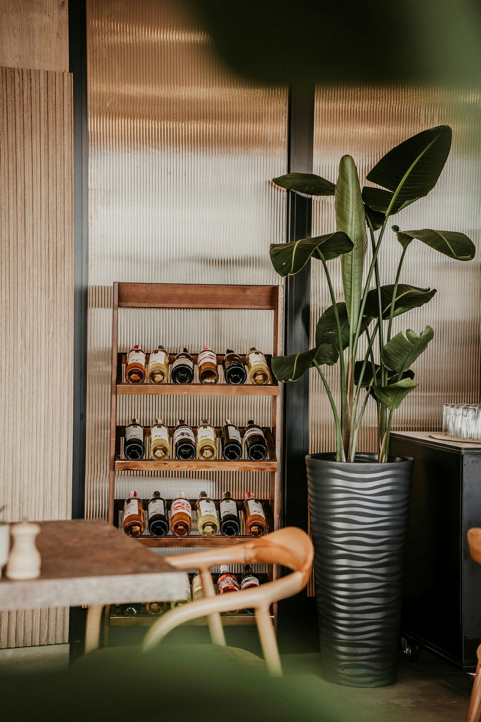 Hylle med vinflasker ved siden av en stor svart potte med grønn plante. (AI-generert tekst)