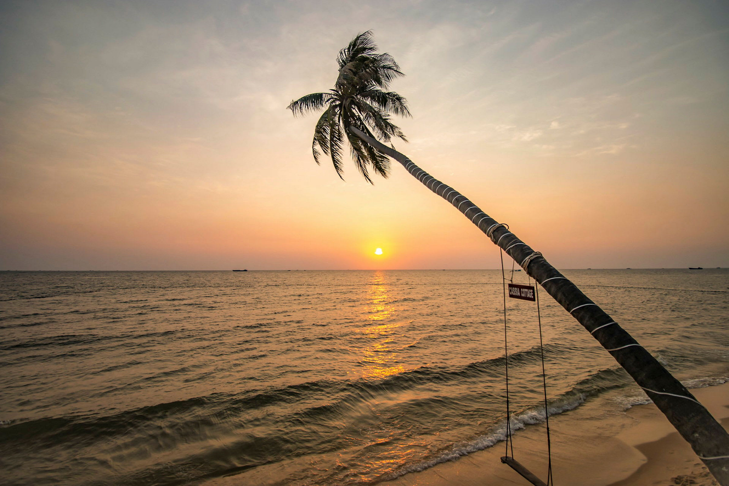 En palme lener seg ut over havet under solnedgang, med en huske hengende fra stammen. (AI-generert tekst)