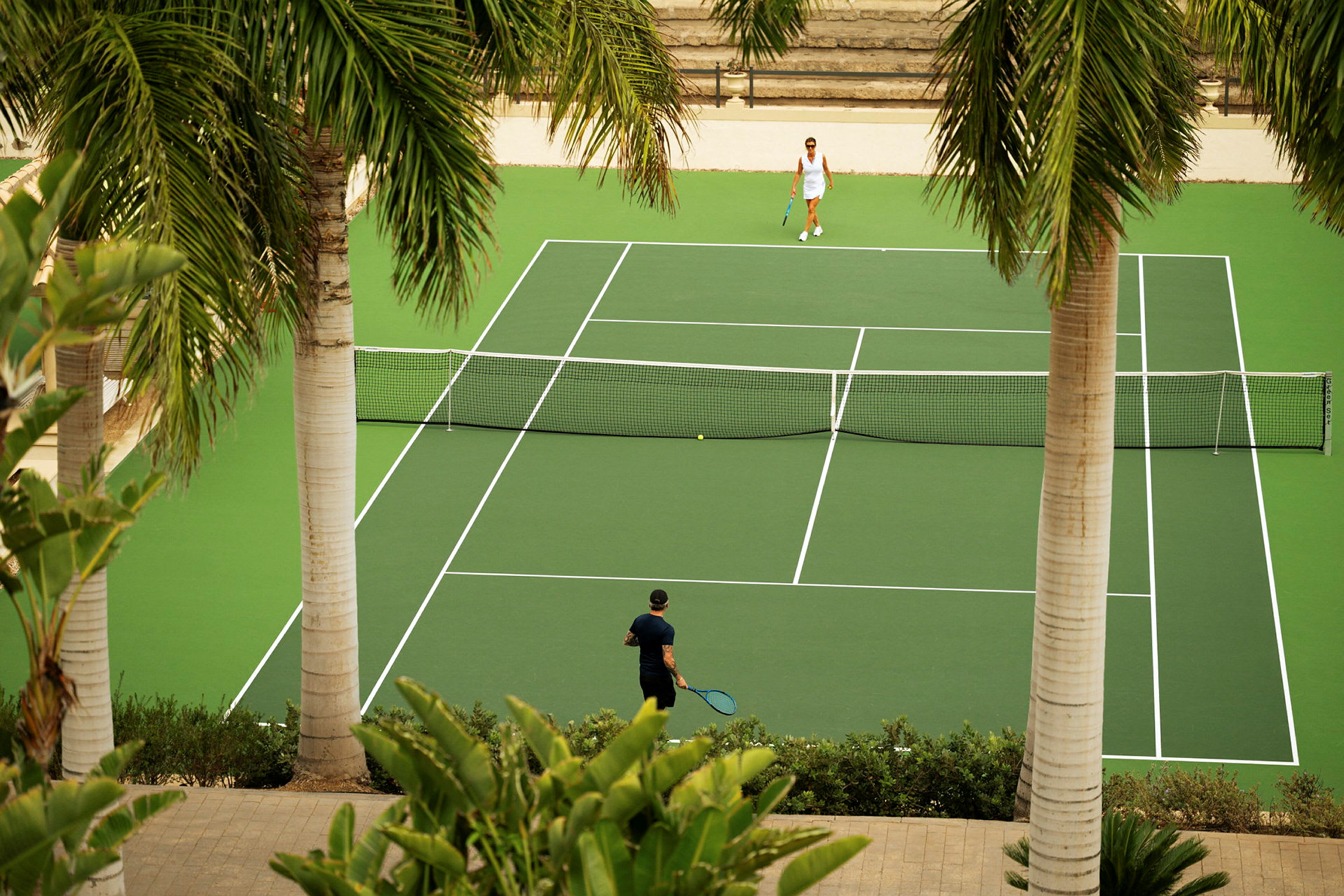 To personer spiller tennis på en grønn tennisbane omgitt av palmer. (AI-generert tekst)