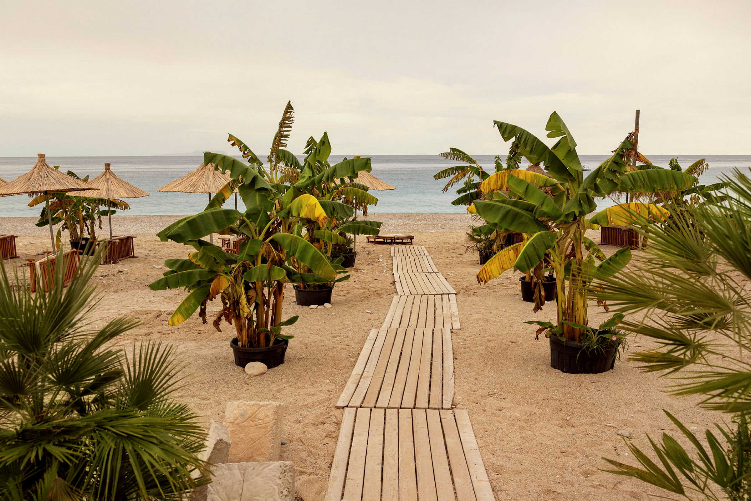 Strand med parasoller, banantrær og en tresti som leder mot havet. (AI-generert tekst)