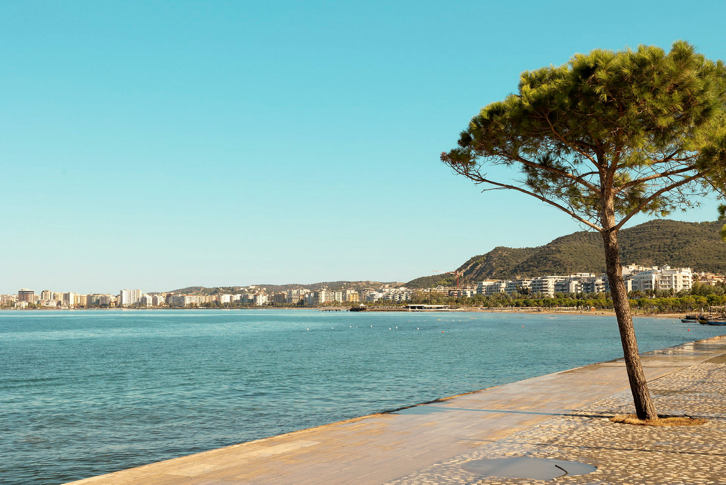 En strandpromenade med et tre ved vannet og en by i bakgrunnen. (AI-generert tekst)
