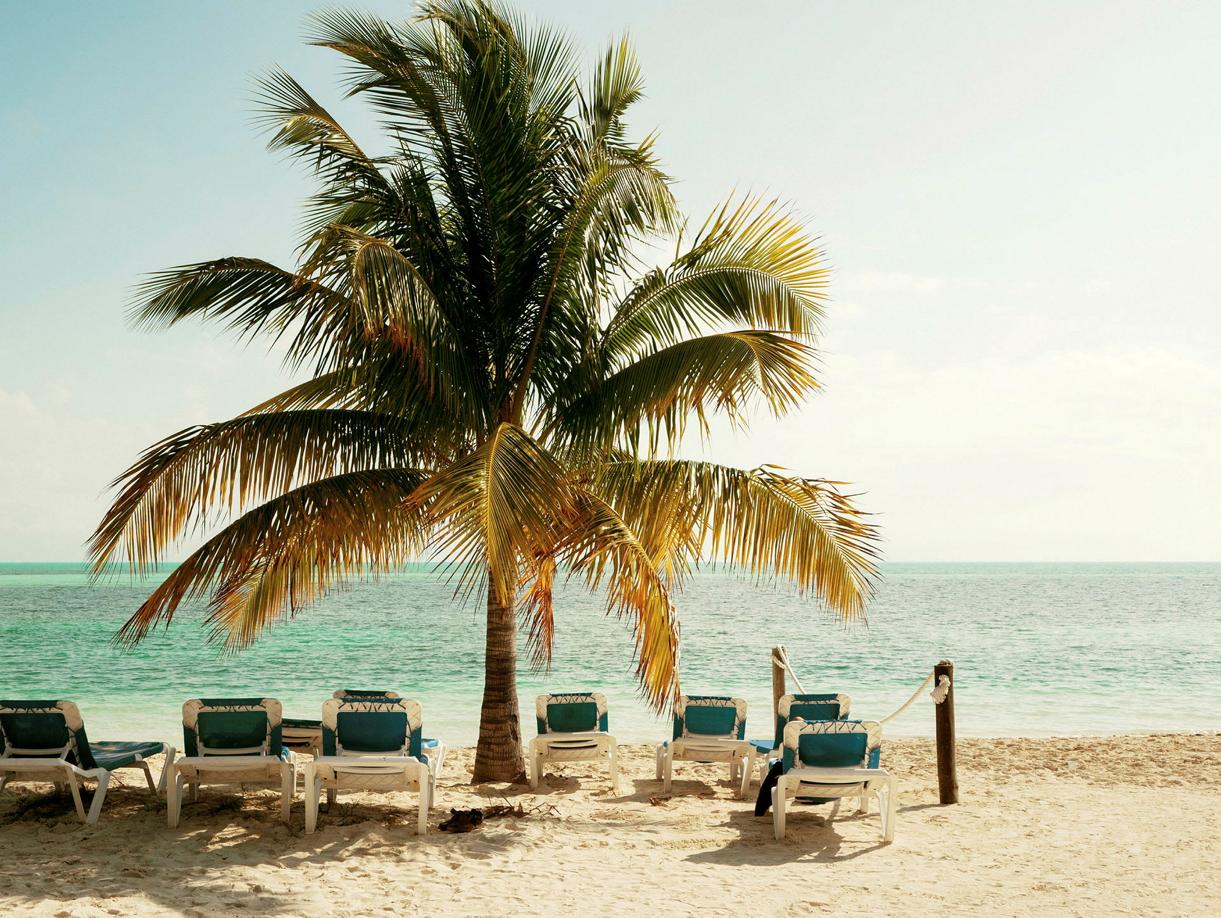 Solstoler på en sandstrand ved havet med en palme. (AI-generert tekst)