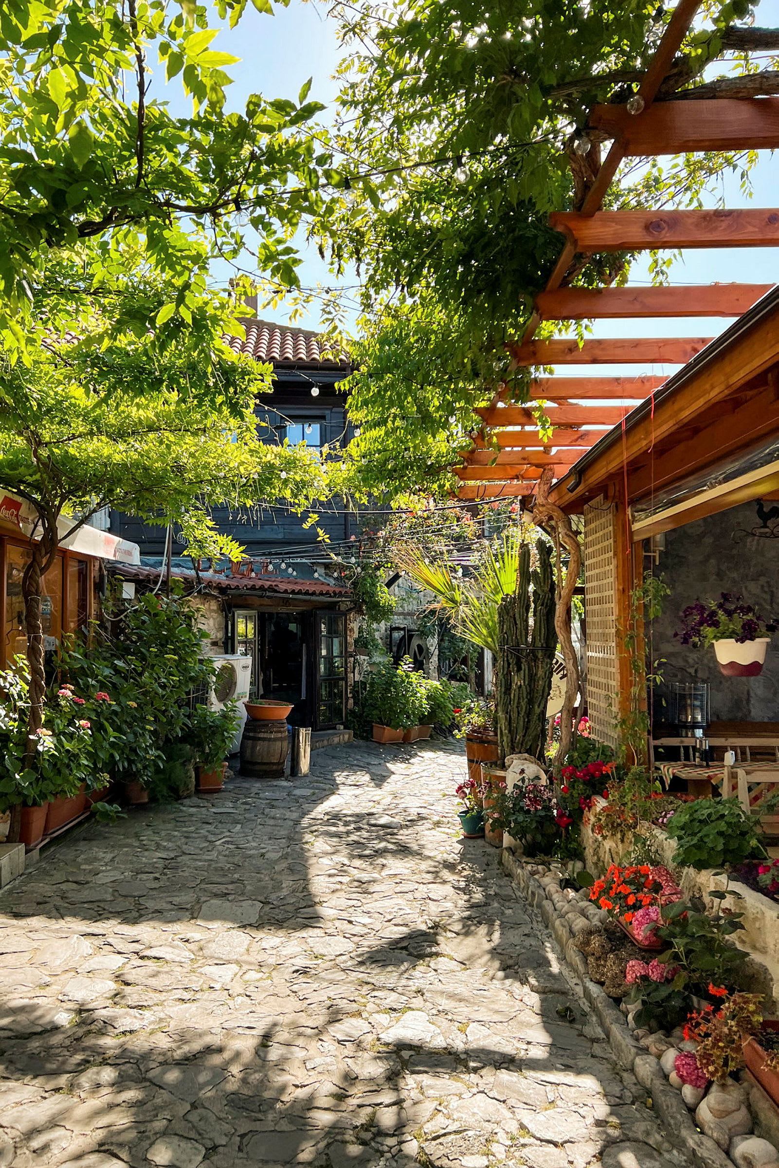 En steinbelagt sti omgitt av grønne planter og bygninger av tre og stein. Blomster og potteplanter forskjønner området. (AI-generert tekst)