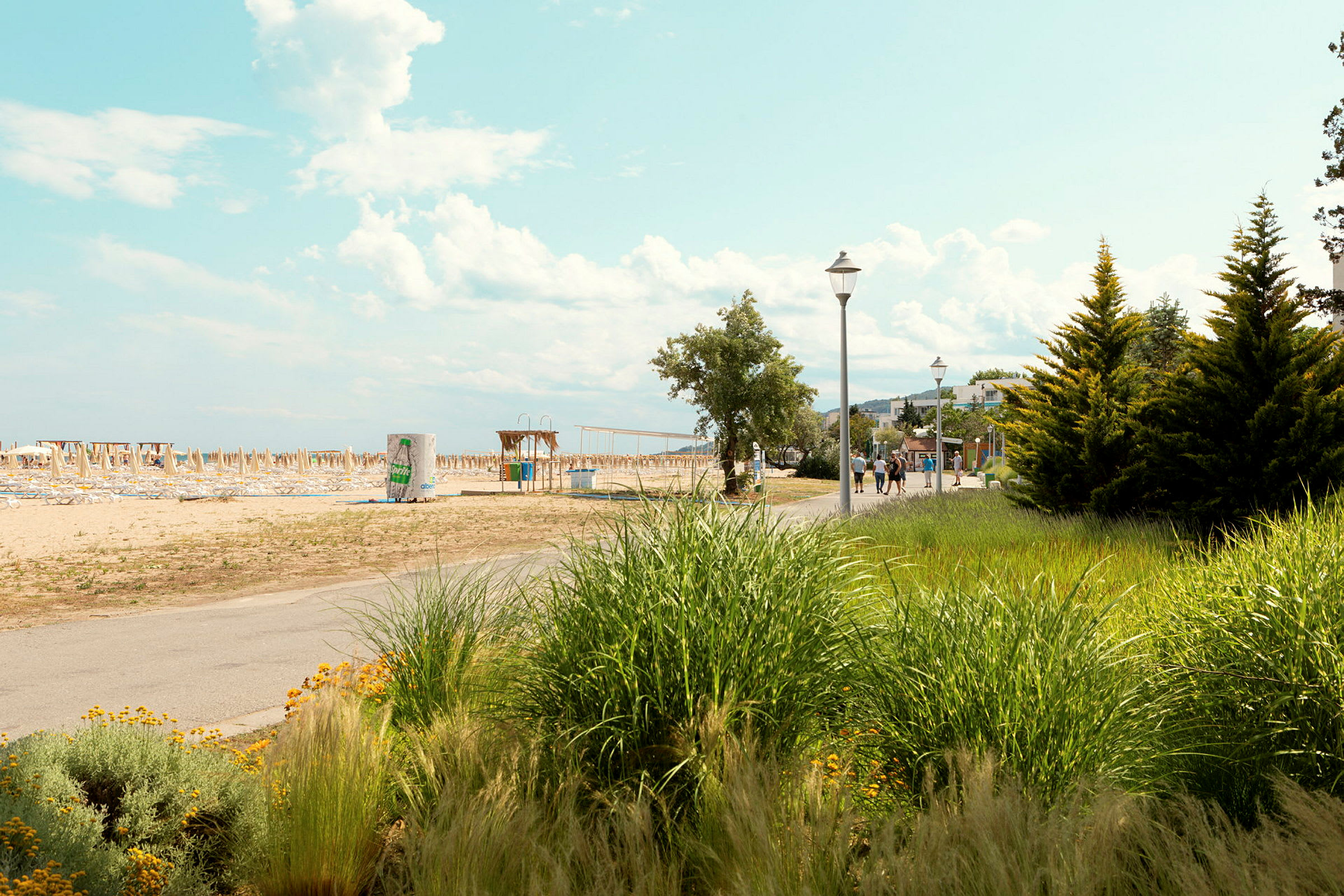 En strand med parasoller og solsenger, i forgrunnen vegetasjon og en gangvei. (AI-generert tekst)
