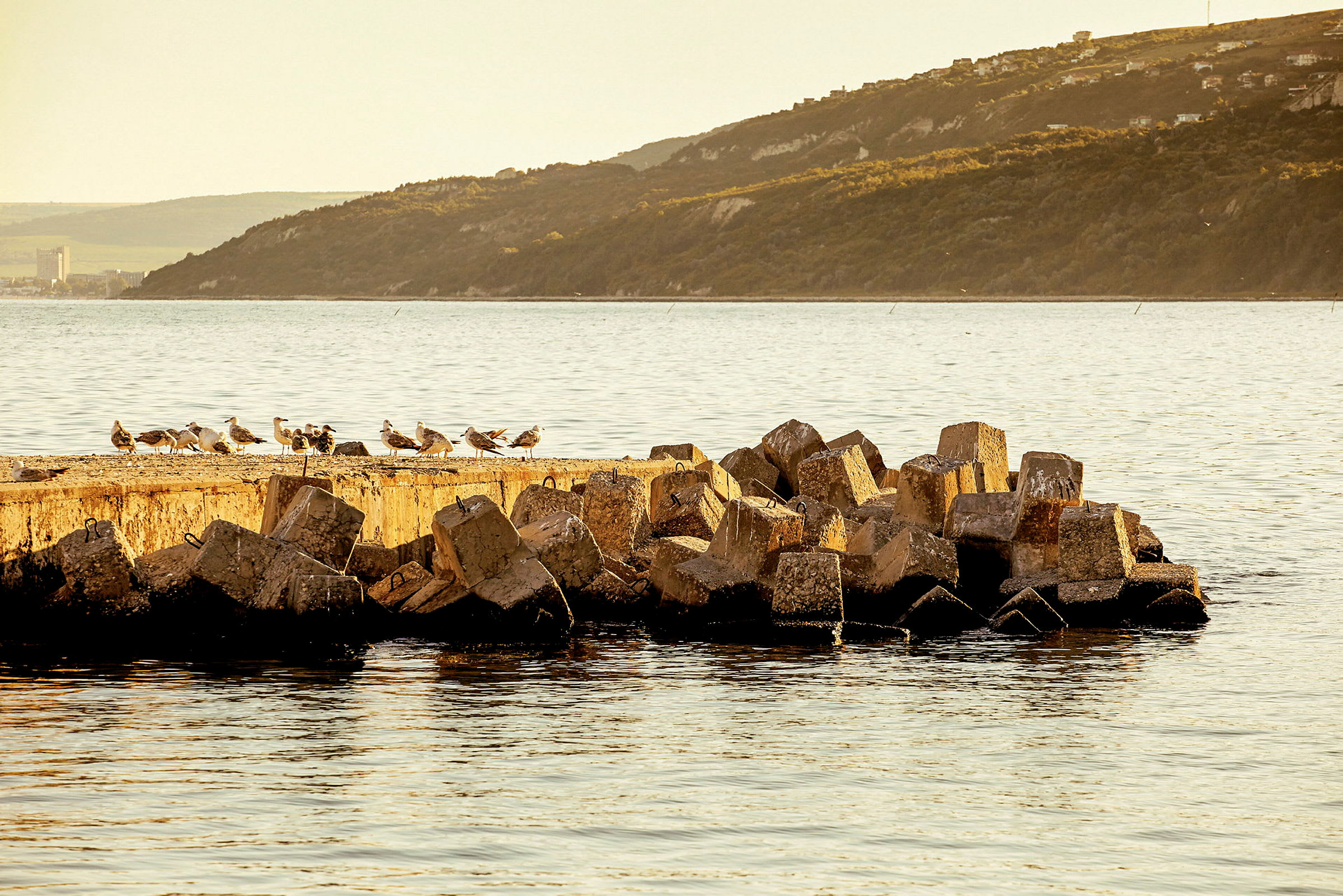 En brygge med måker omgitt av vann og fjell i bakgrunnen. (AI-generert tekst)