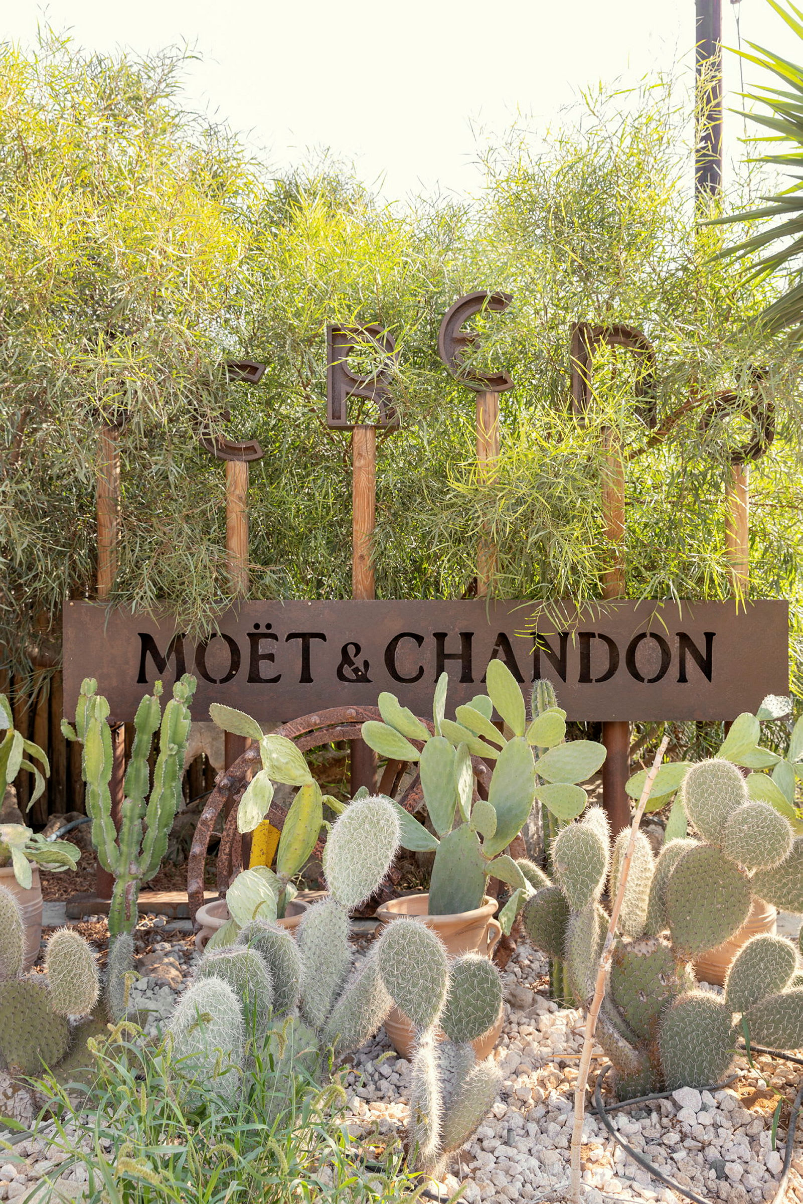 Kaktusplanter i forgrunnen foran et skilt med teksten 'Moët & Chandon'. (AI-generert tekst)