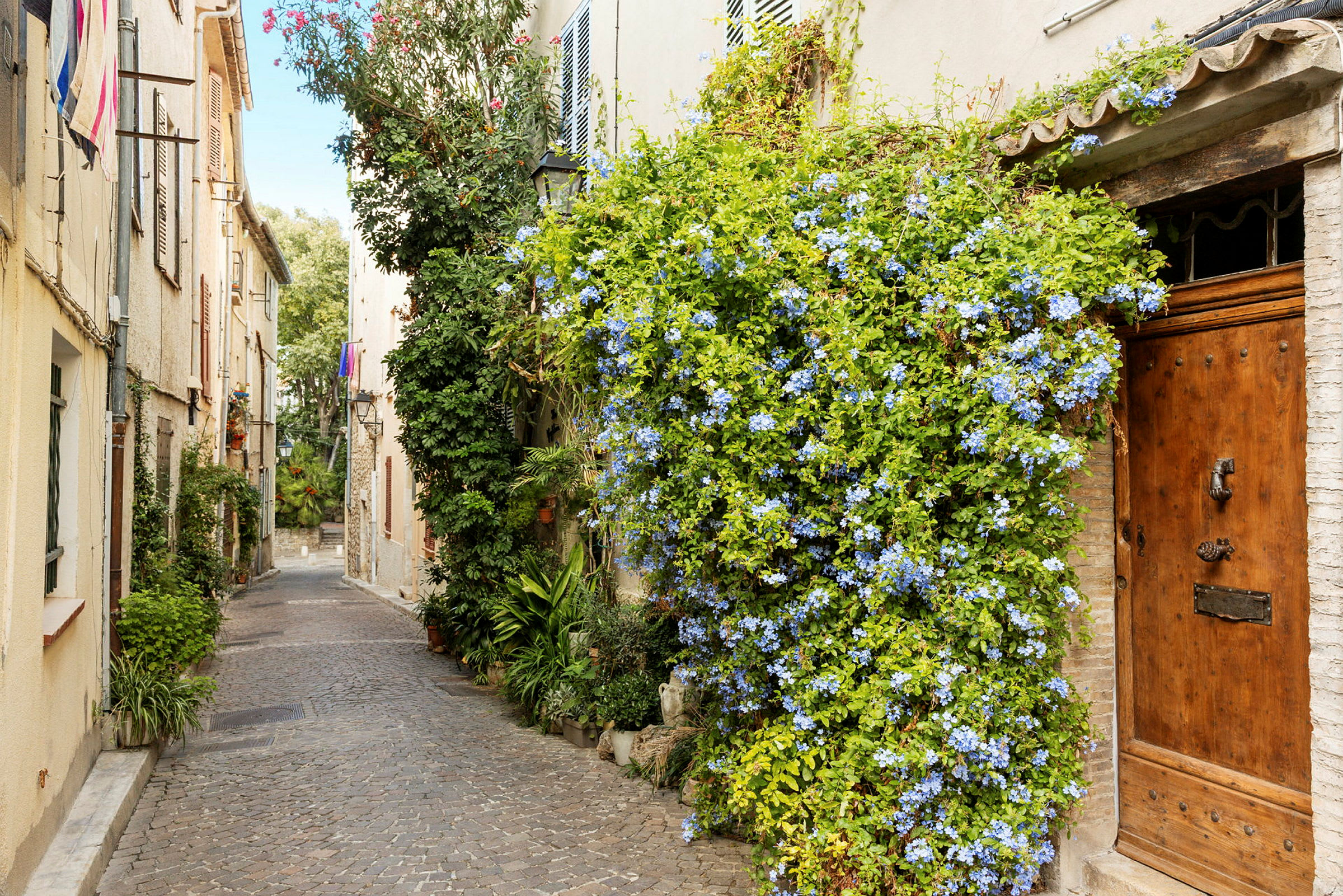 En sjarmerende, smal brosteinsbelagt gate med hus i varme farger og en fasade dekorert med grønne planter og blå blomster. (AI-generert tekst)