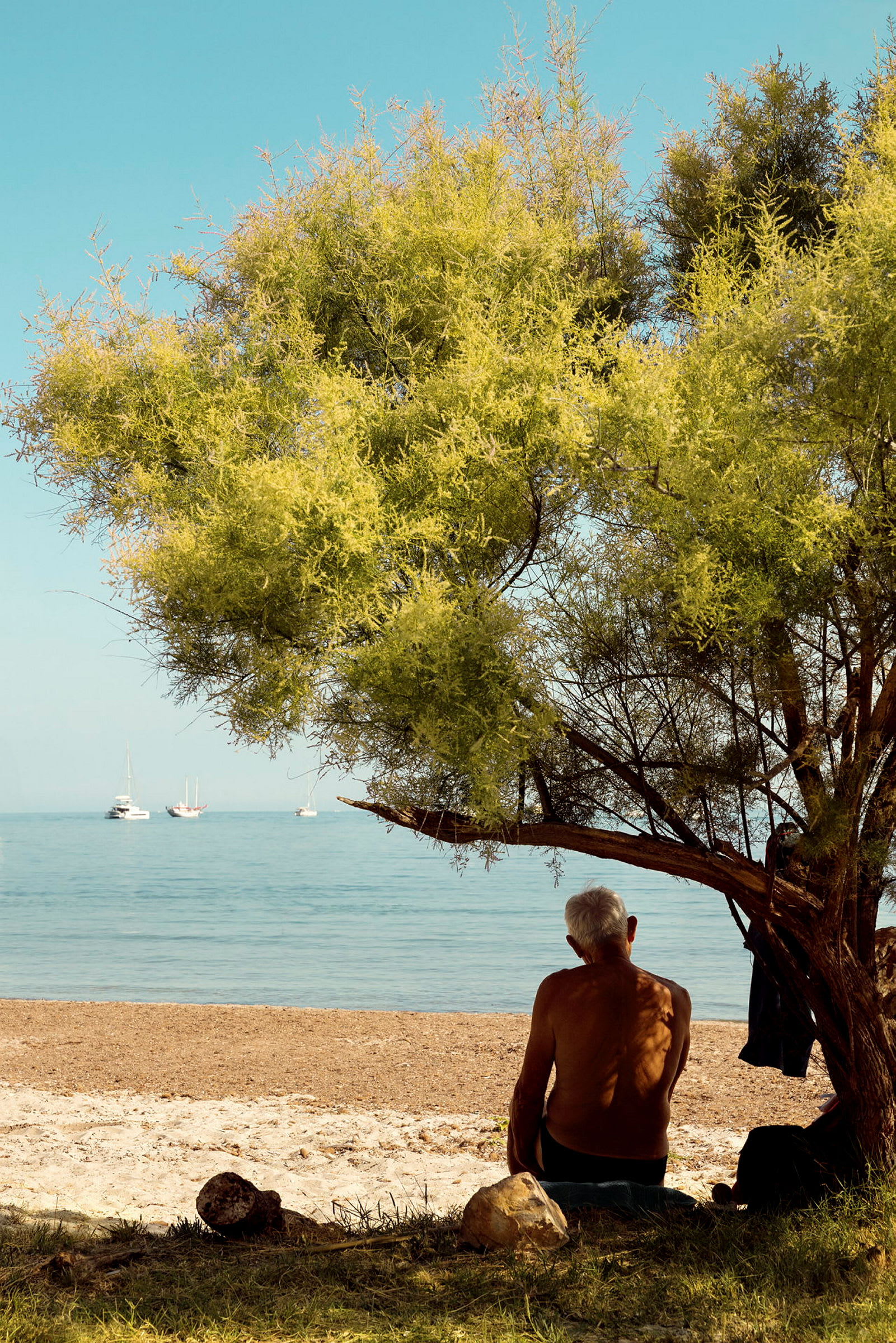 En person sitter under et tre ved en strand med havet og flere seilbåter i bakgrunnen. (AI-generert tekst)